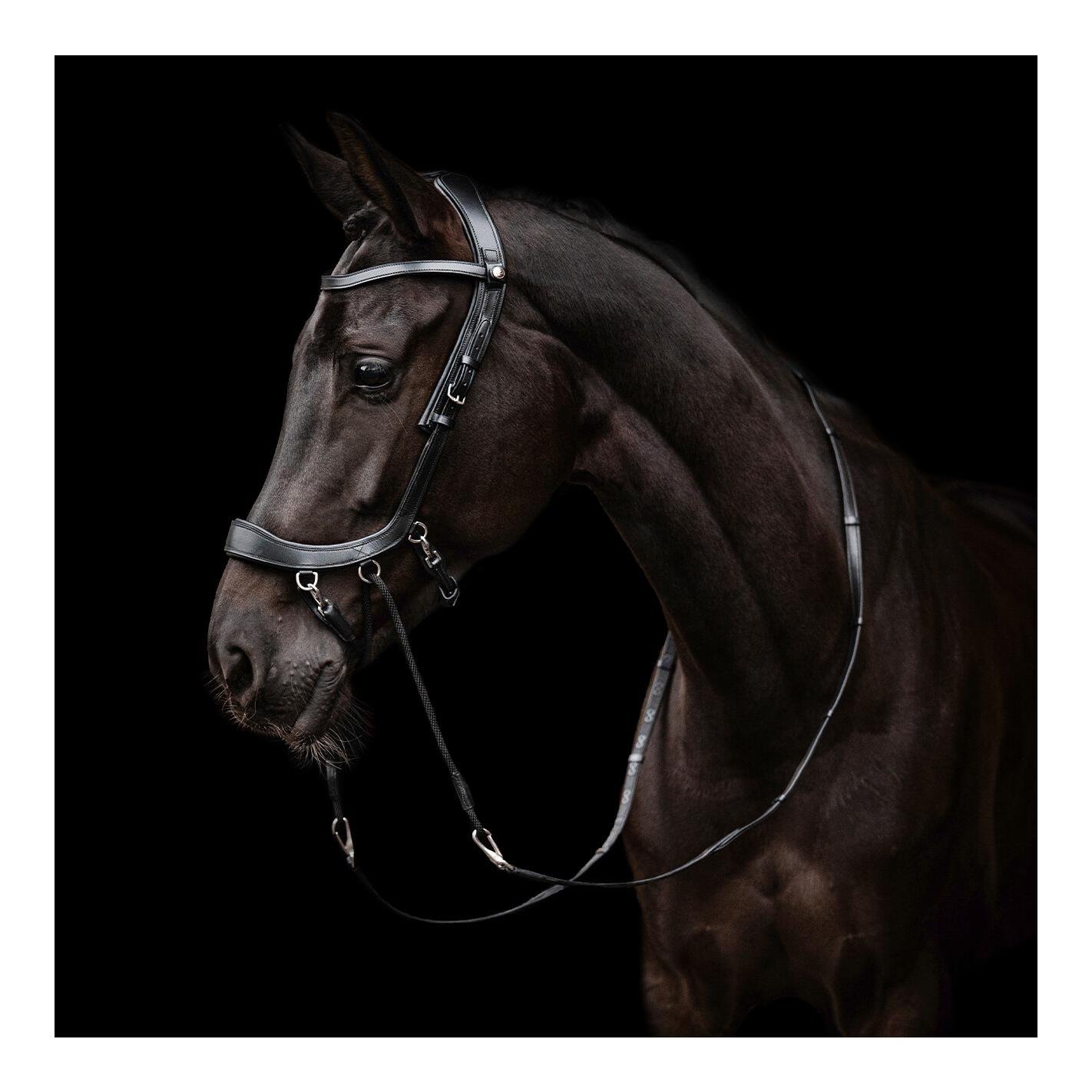 PresTeq Bride sans mors FaySport