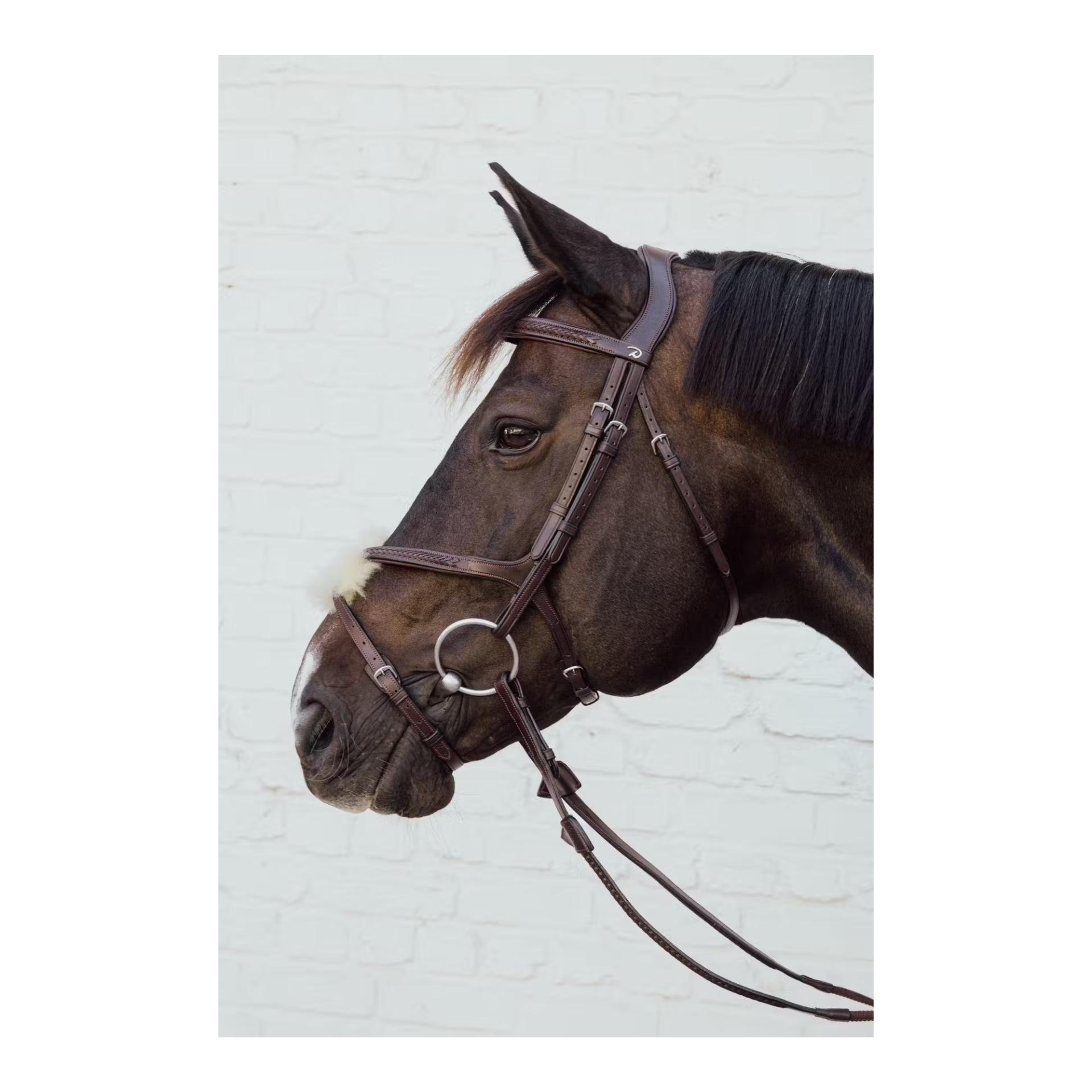 Plaited Figure 8 Noseband Plaited Figure 8 Noseband