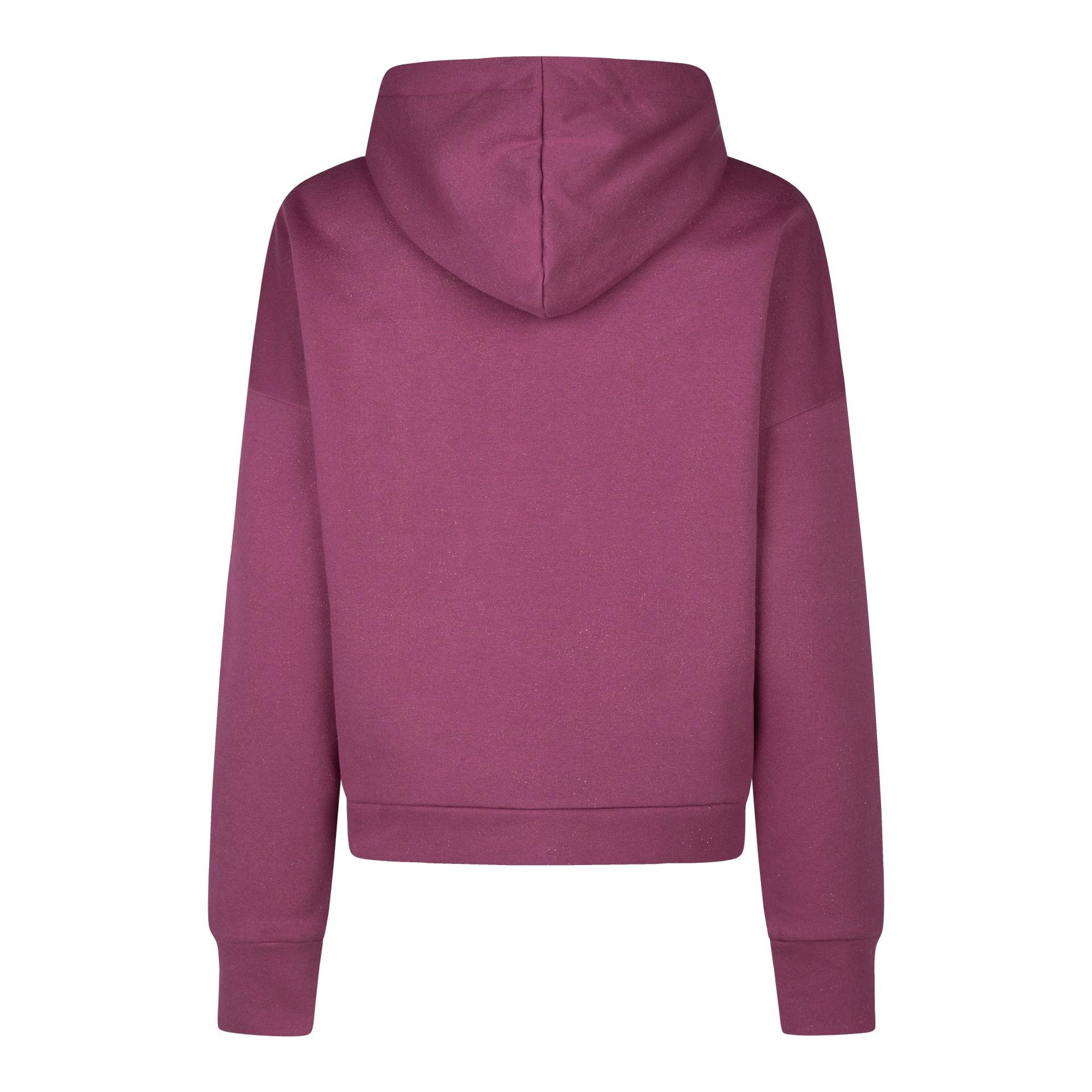 Hoodie Sparkle Heritage 25/26