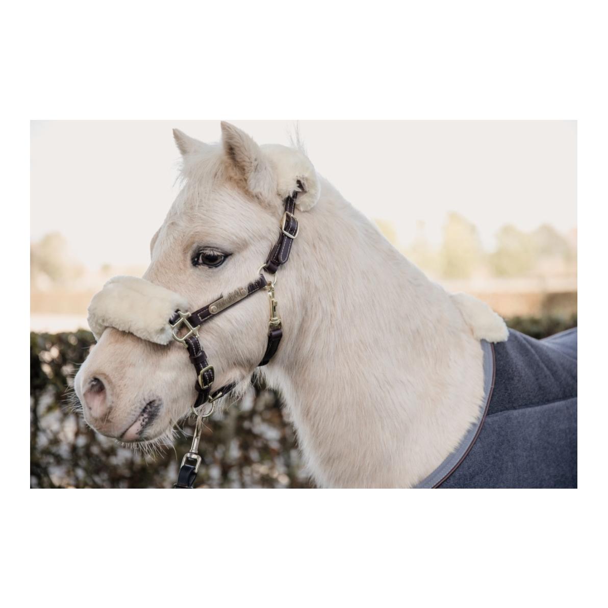 Pony Lederhalfter - braun Pony Lederhalfter - braun