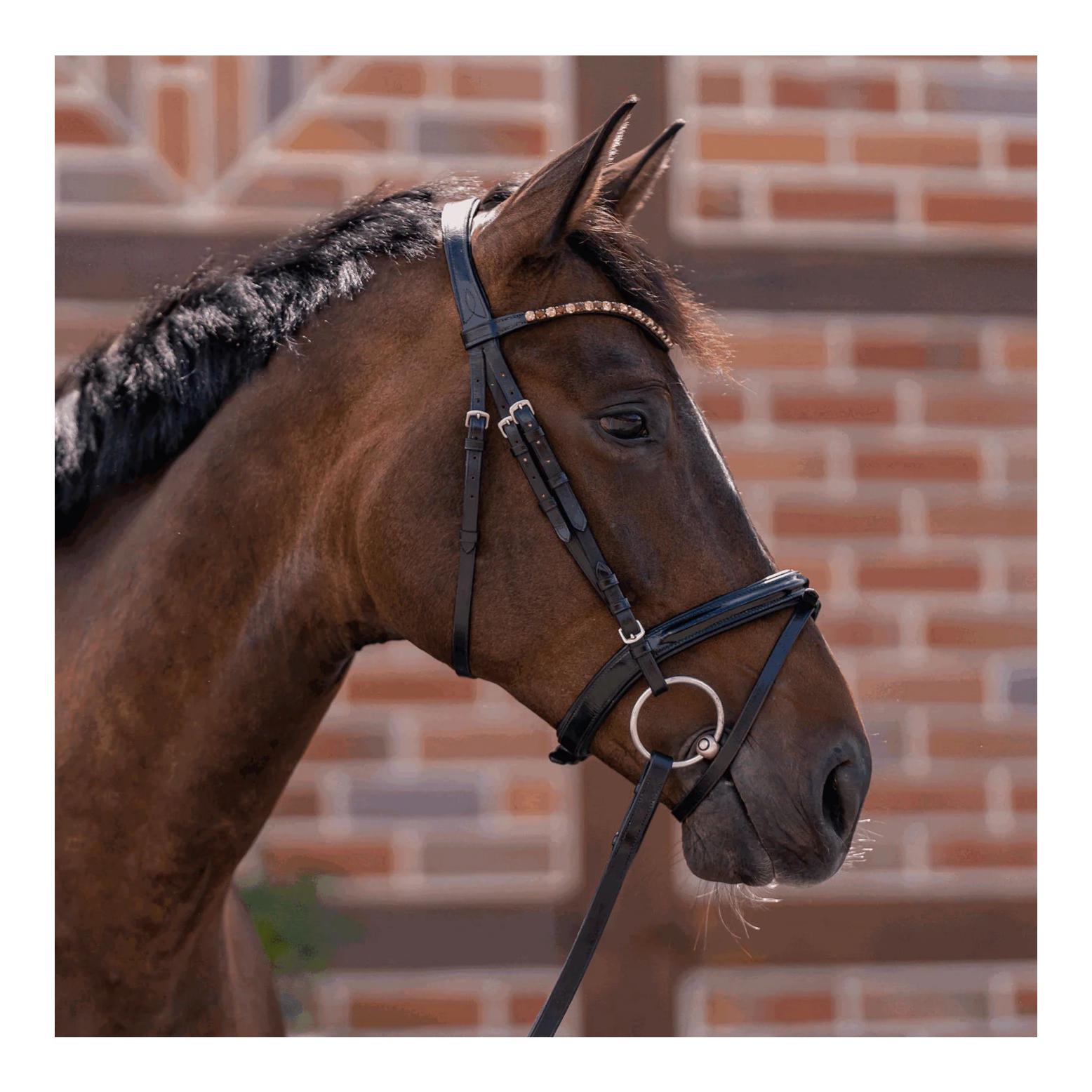 Sprenger novocontact Wassertrense 14 mm einfach gebrochen - Sensogan