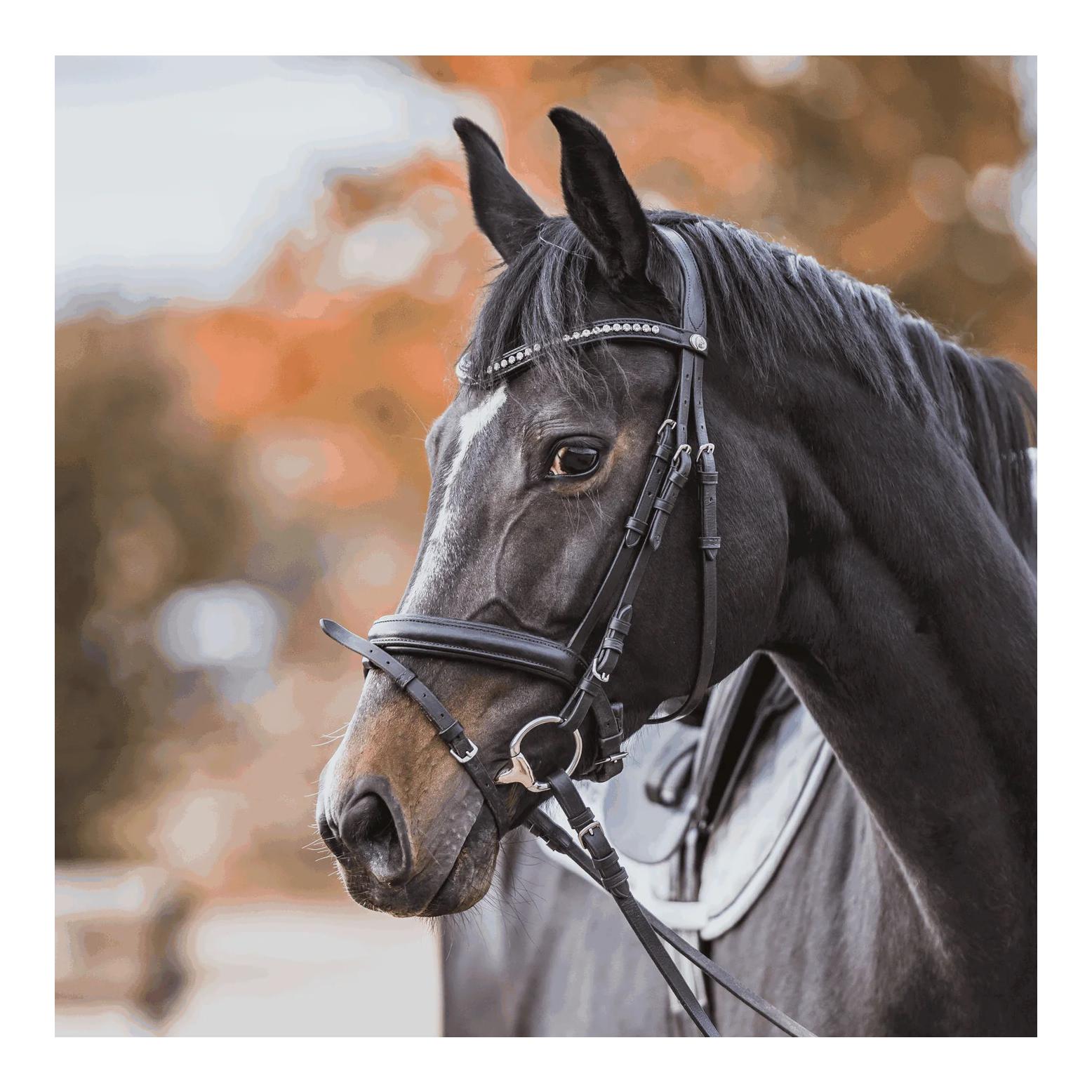 Sprenger KK ULTRA Olivenkopf 16 mm - Sensogan