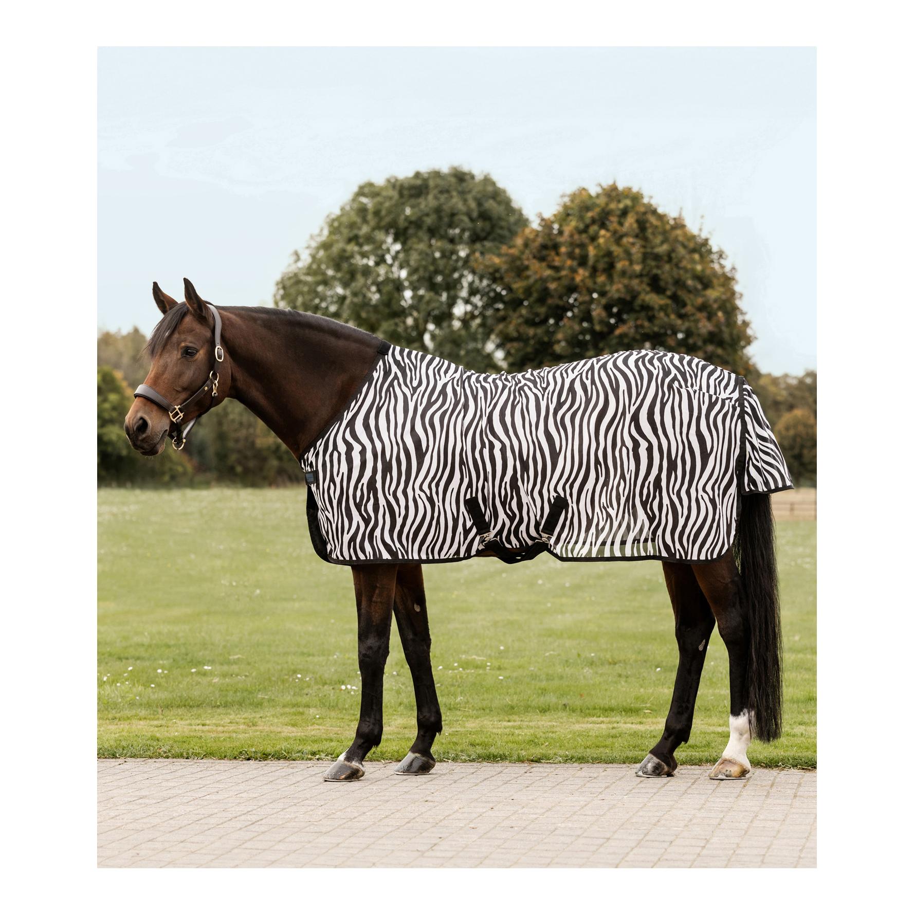 Fliegendecke Zebra mit Kreuzgurten Fliegendecke Zebra mit Kreuzgurten