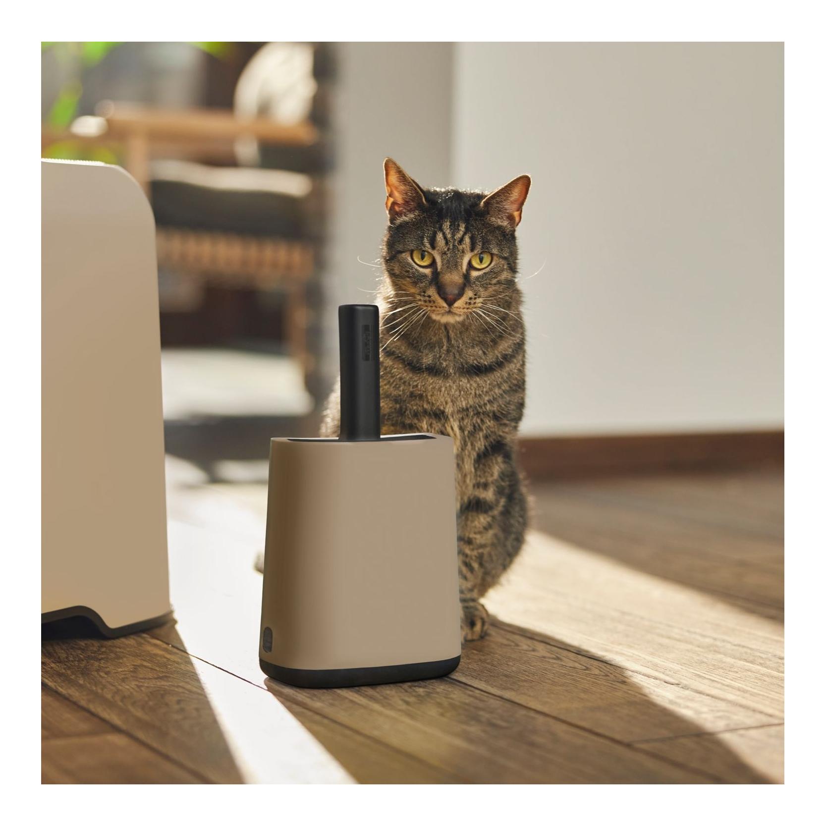 Rotho Schaufel mit Halter Biala 