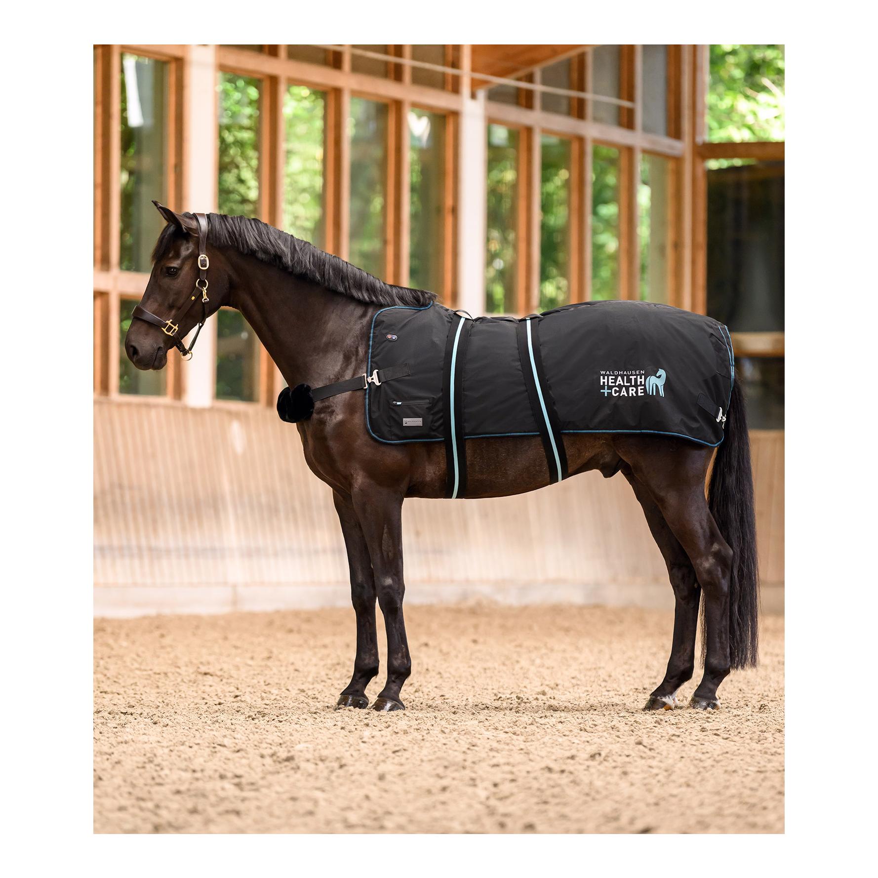 Health + Care Waldhausen Health + Care TecSupreme Heiz- & Massagedecke