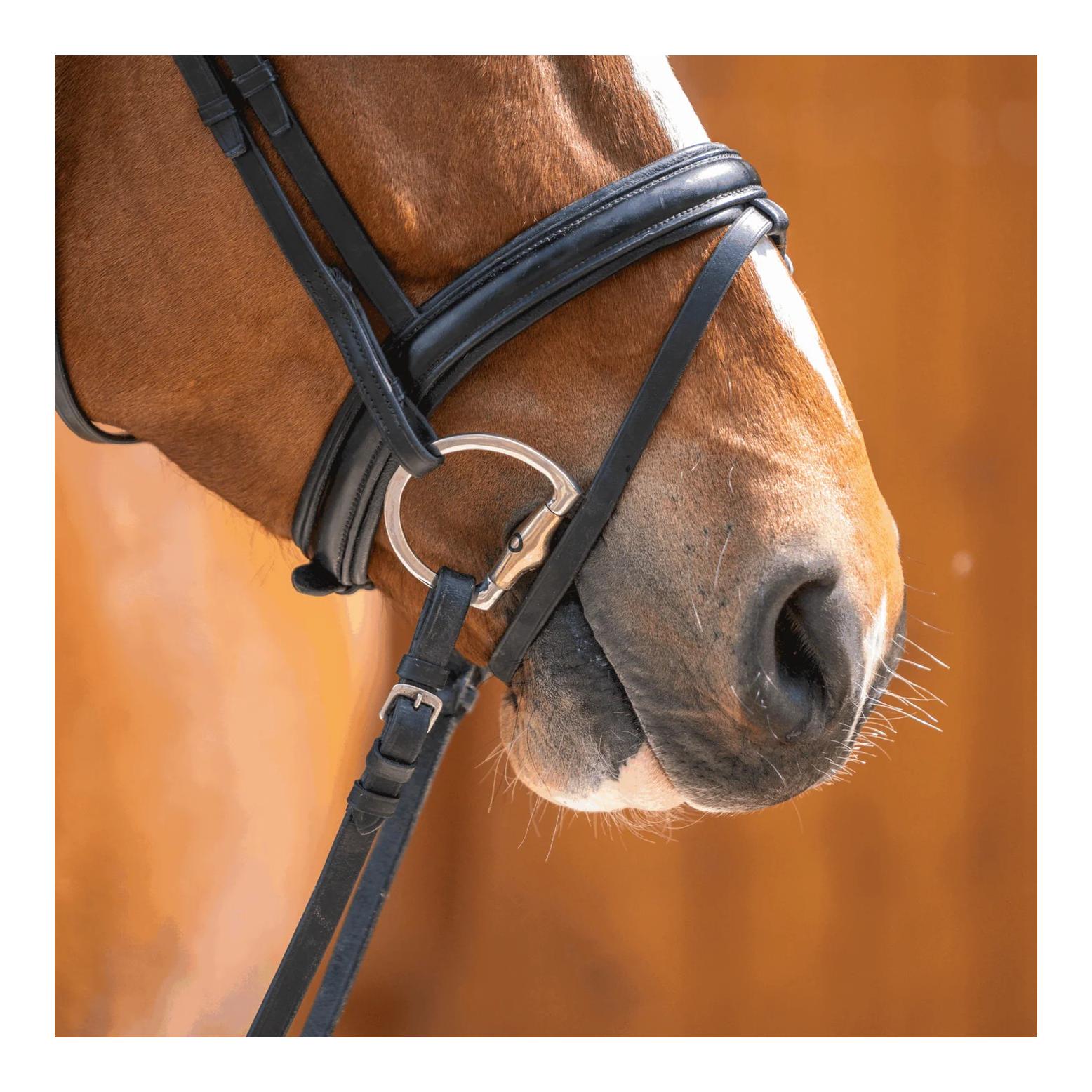 Sprenger Dynamic RS Olivenkopfgebiss mit D-förmigem Ring 16 mm doppelt gebrochen