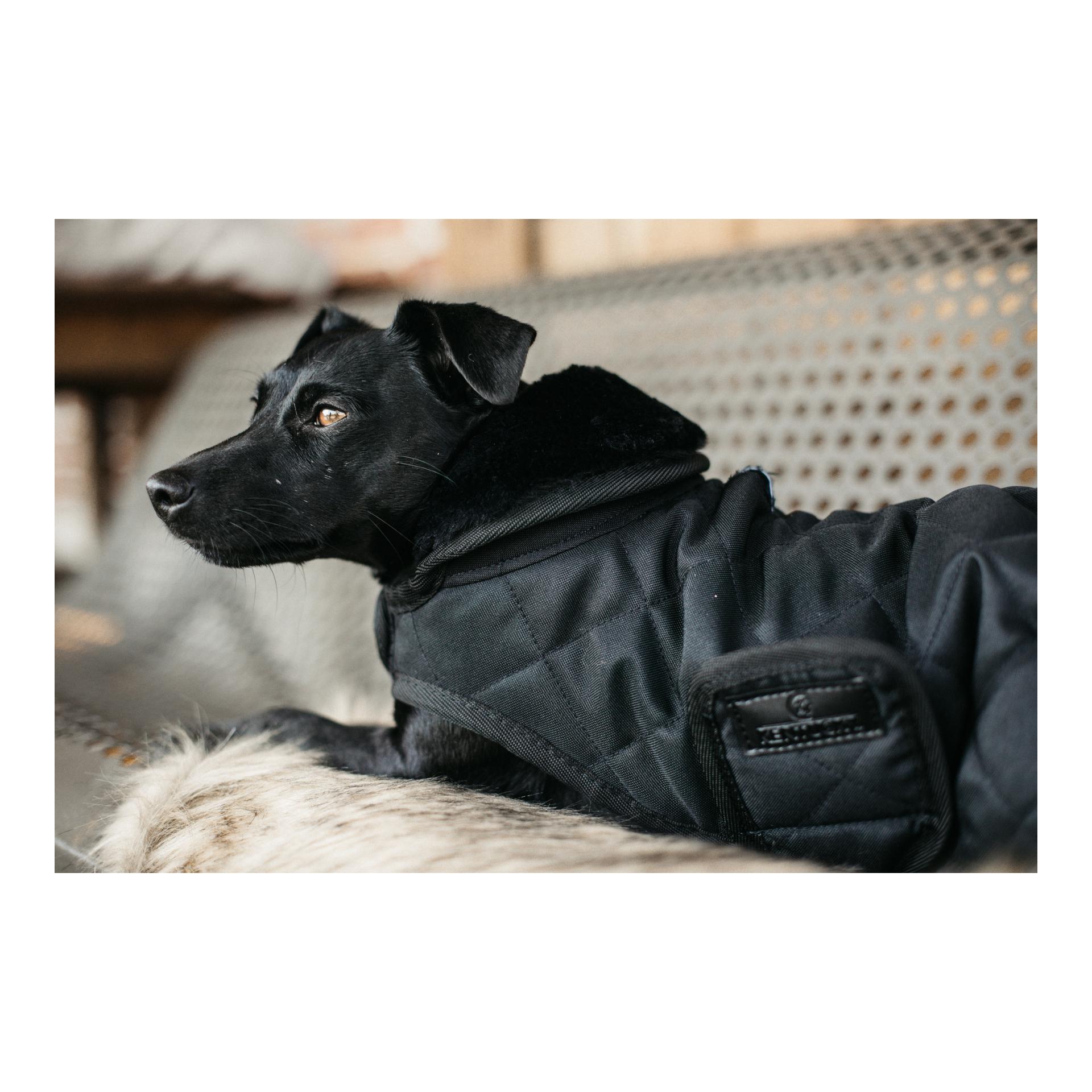 Hundemantel Original - black/black Hundemantel Original - black/black