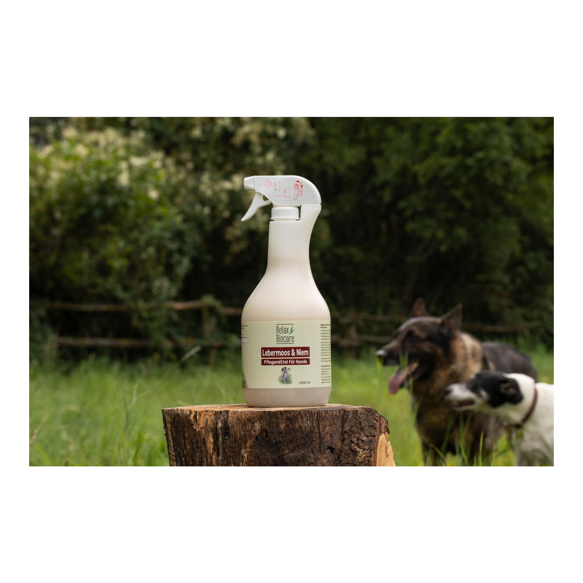 Lebermoos & Niem für Hunde Lebermoos & Niem für Hunde