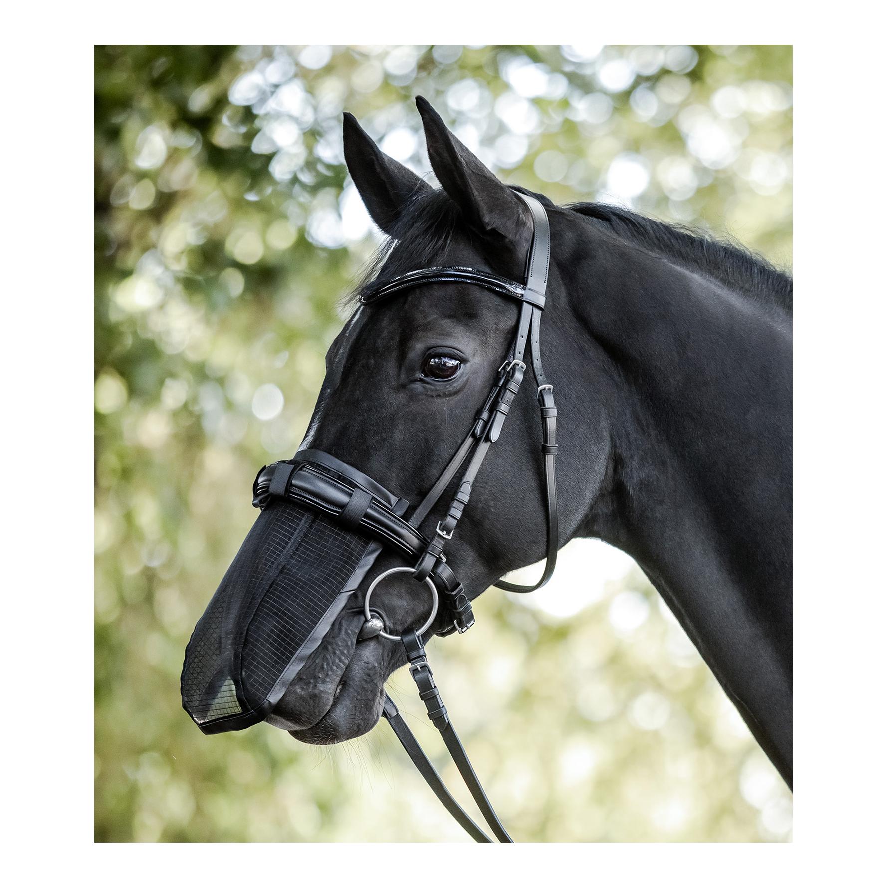 Fliegen-Nasenschutz mit UV-Schutz