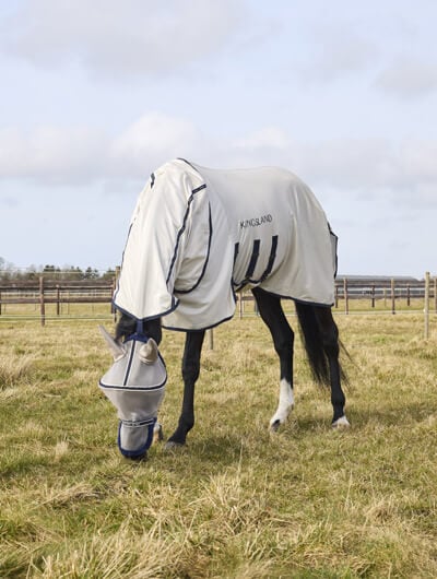 RS-ShopBanner_Insektenschutz (1)