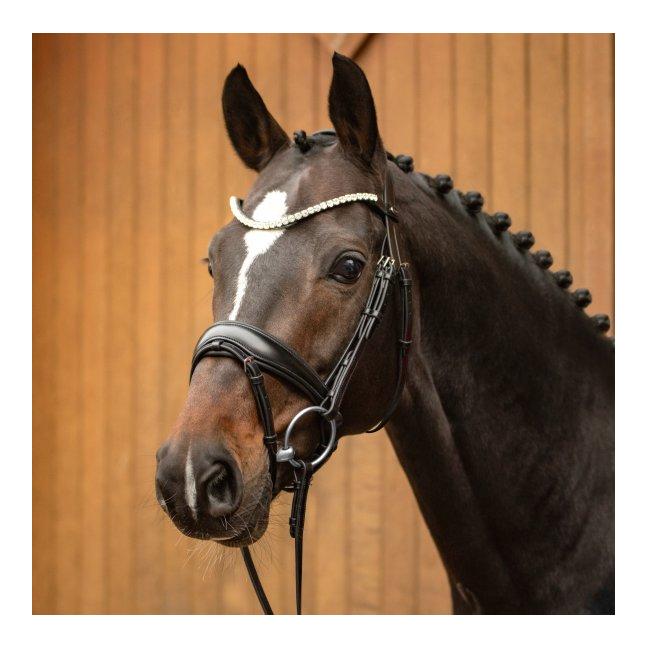 Zaum Favorite powered by Ingrid Klimke Zaum Favorite powered by Ingrid Klimke