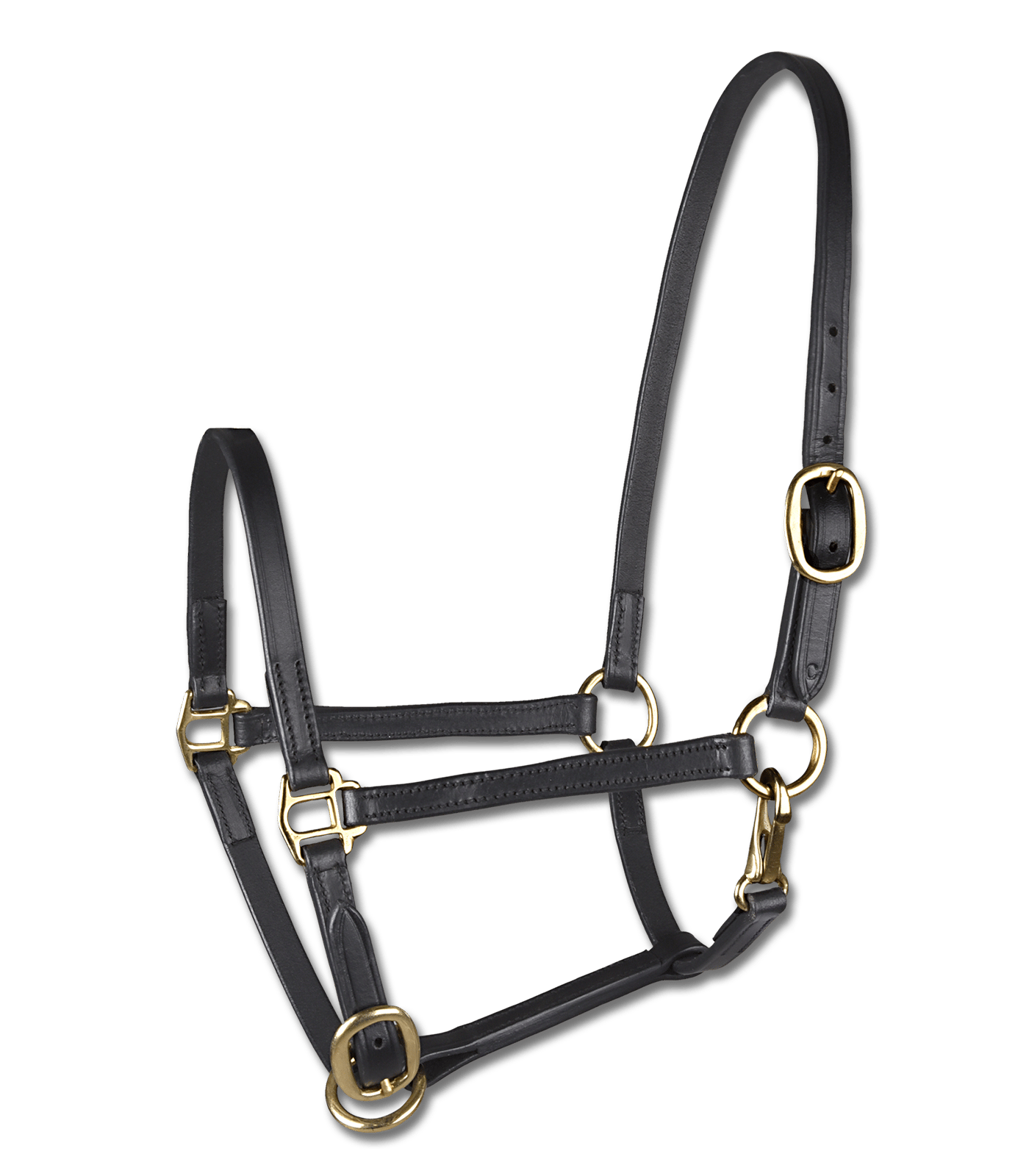 Fohlenvorführhalfter Leder