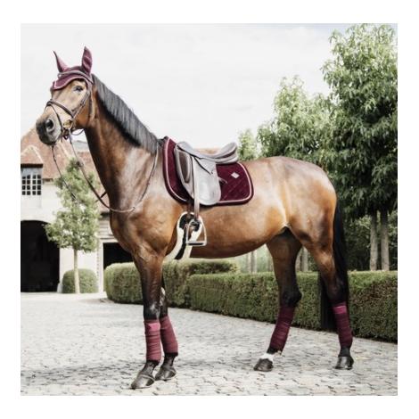 Bandages polaires New - bordeaux