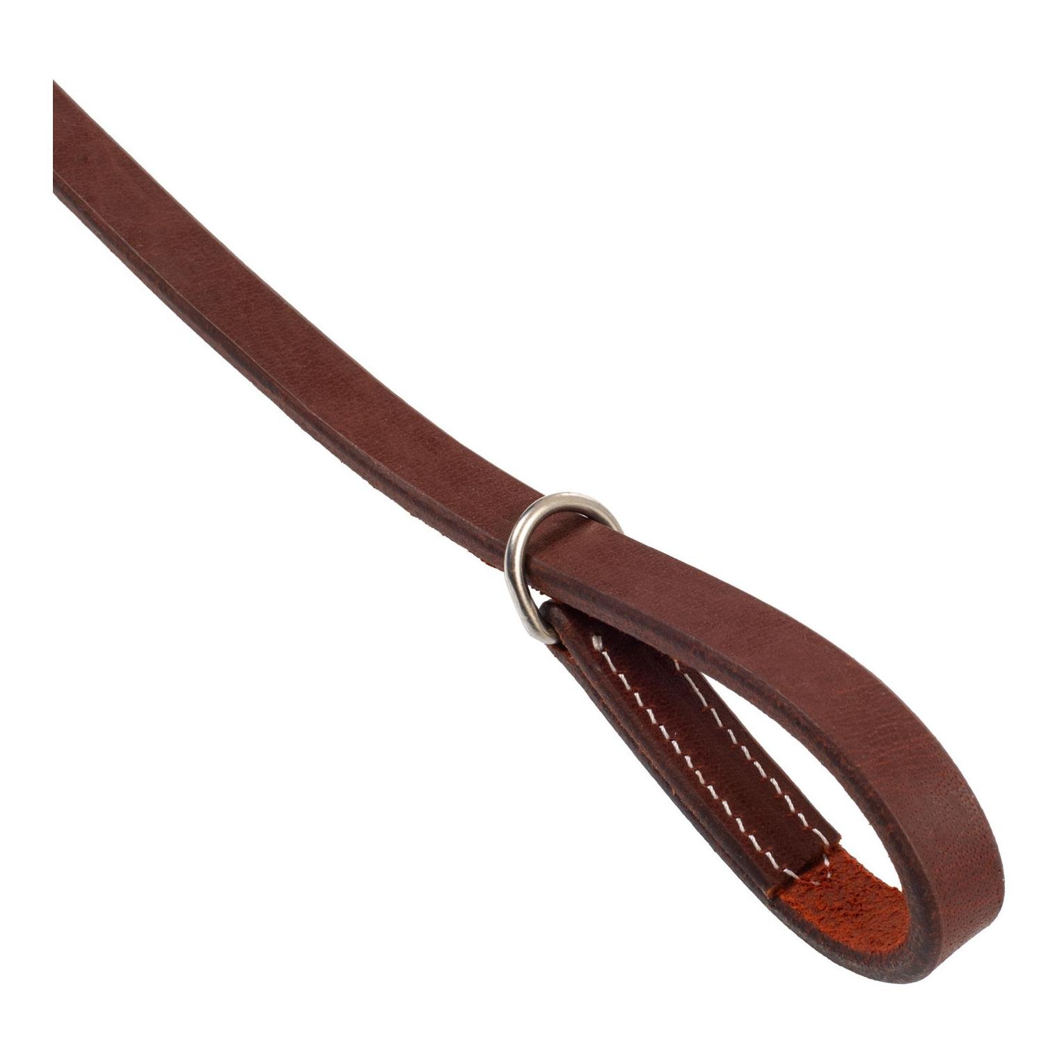 Pool's Vorgeschirr Western