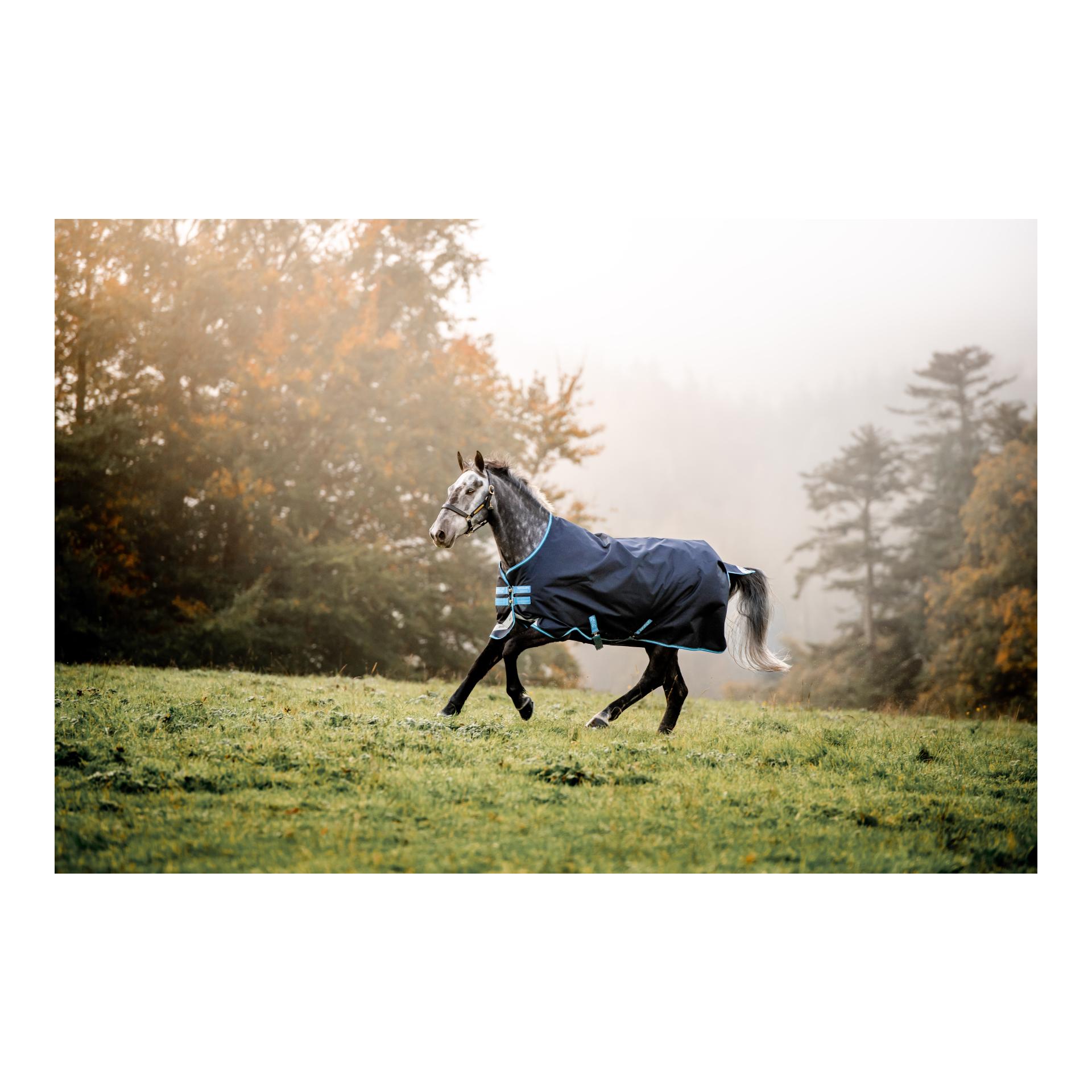 Weidedecke Amigo Bravo 12 50g - navy/turquoise Weidedecke Amigo Bravo 12 50g - navy/turquoise