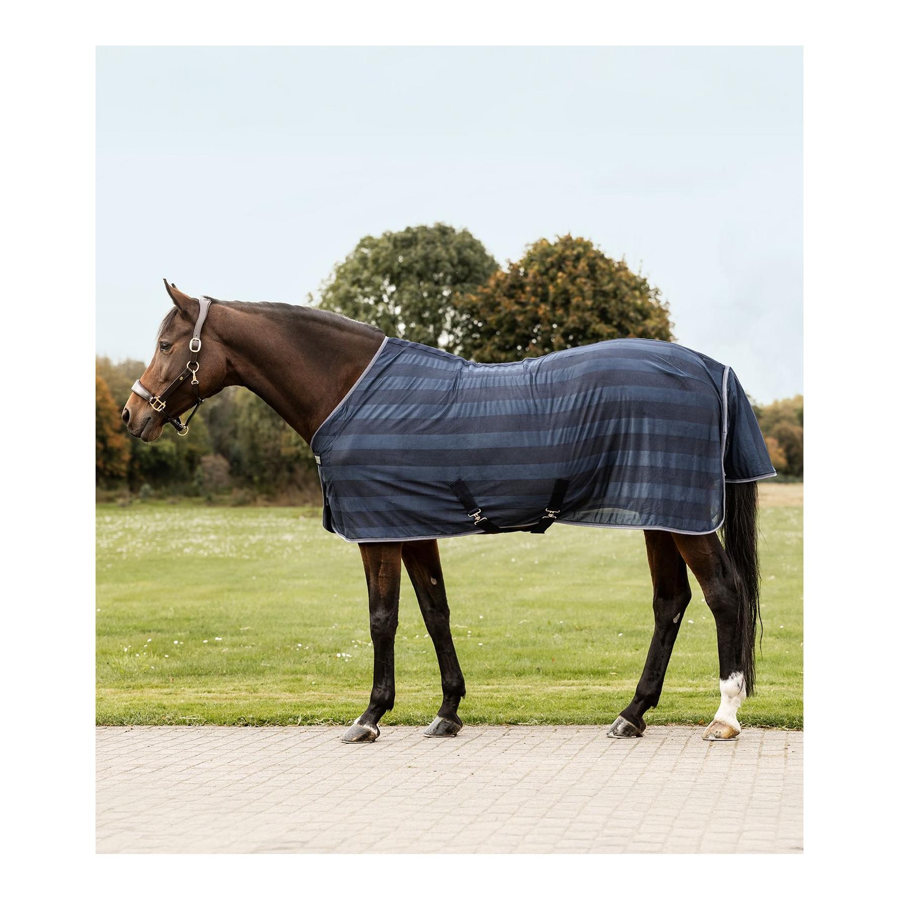 Waldhausen Fliegendecke Economic Kreuzbegurtung