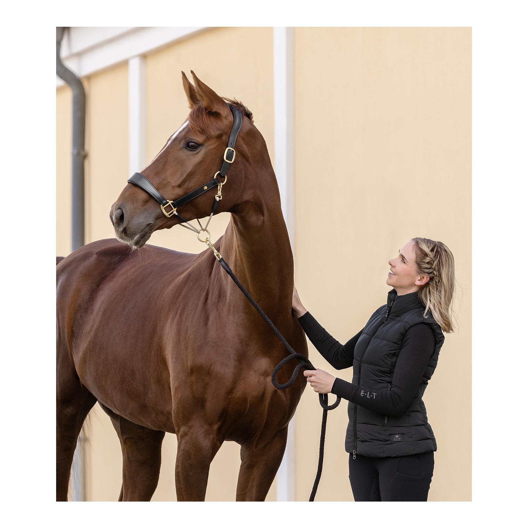 Lederhalfter S-Line Royal