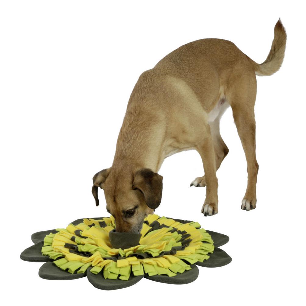 Kerbl Pet Schnüffelteppich Sunflower - gelb/grün