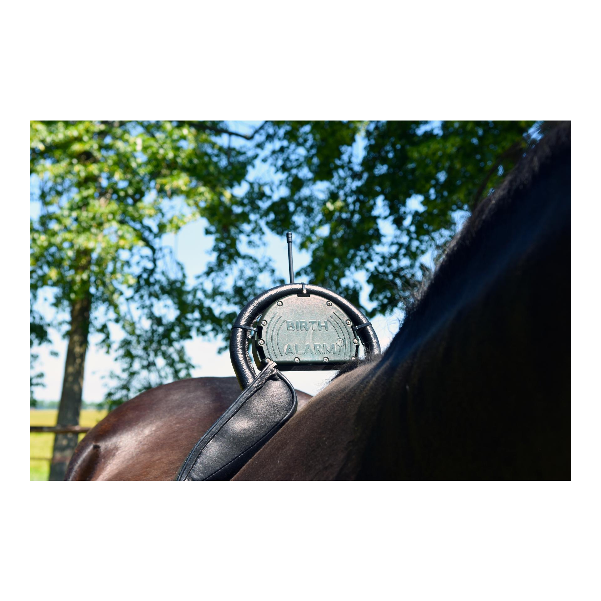 Birth Alarm Set - Birth Alarm Classic komplett