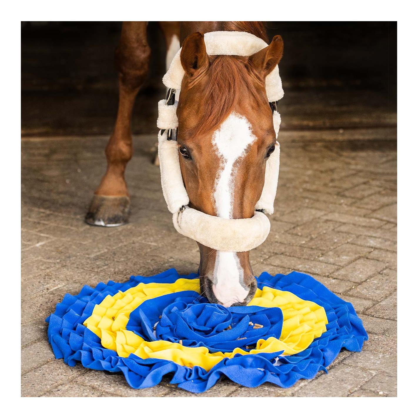 QHP Tapis renifleur pour chevaux