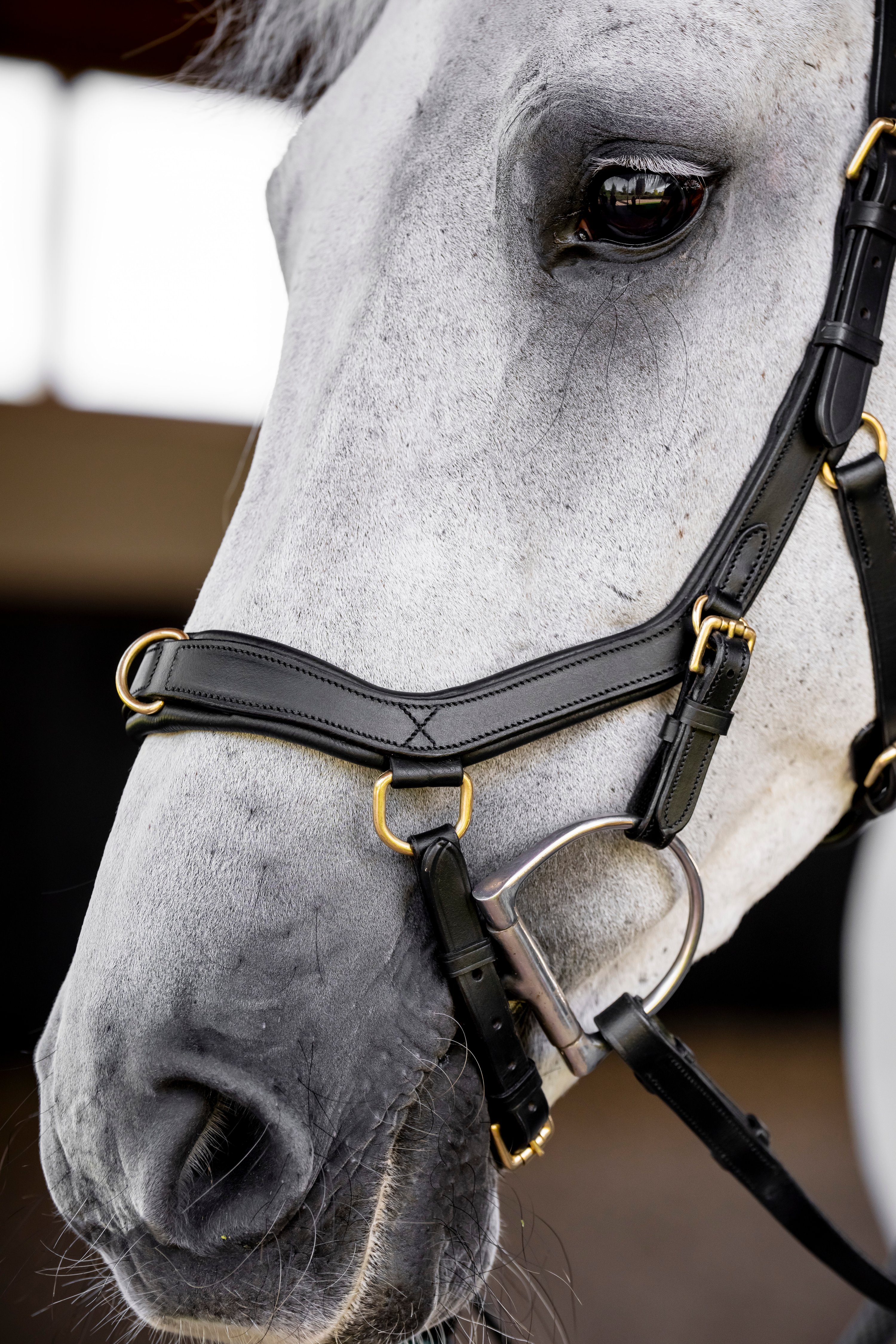 Horseware Bridon Micklem Multi