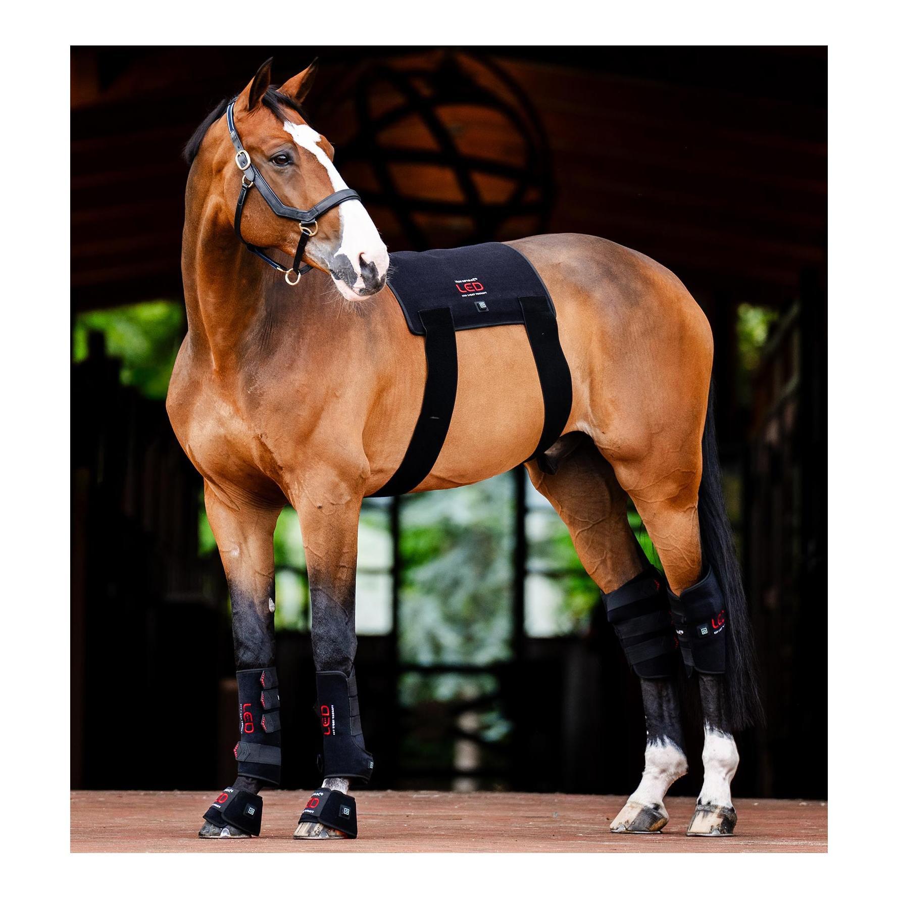Horseware Thérapie par lumière rouge LED – Mini-jambière