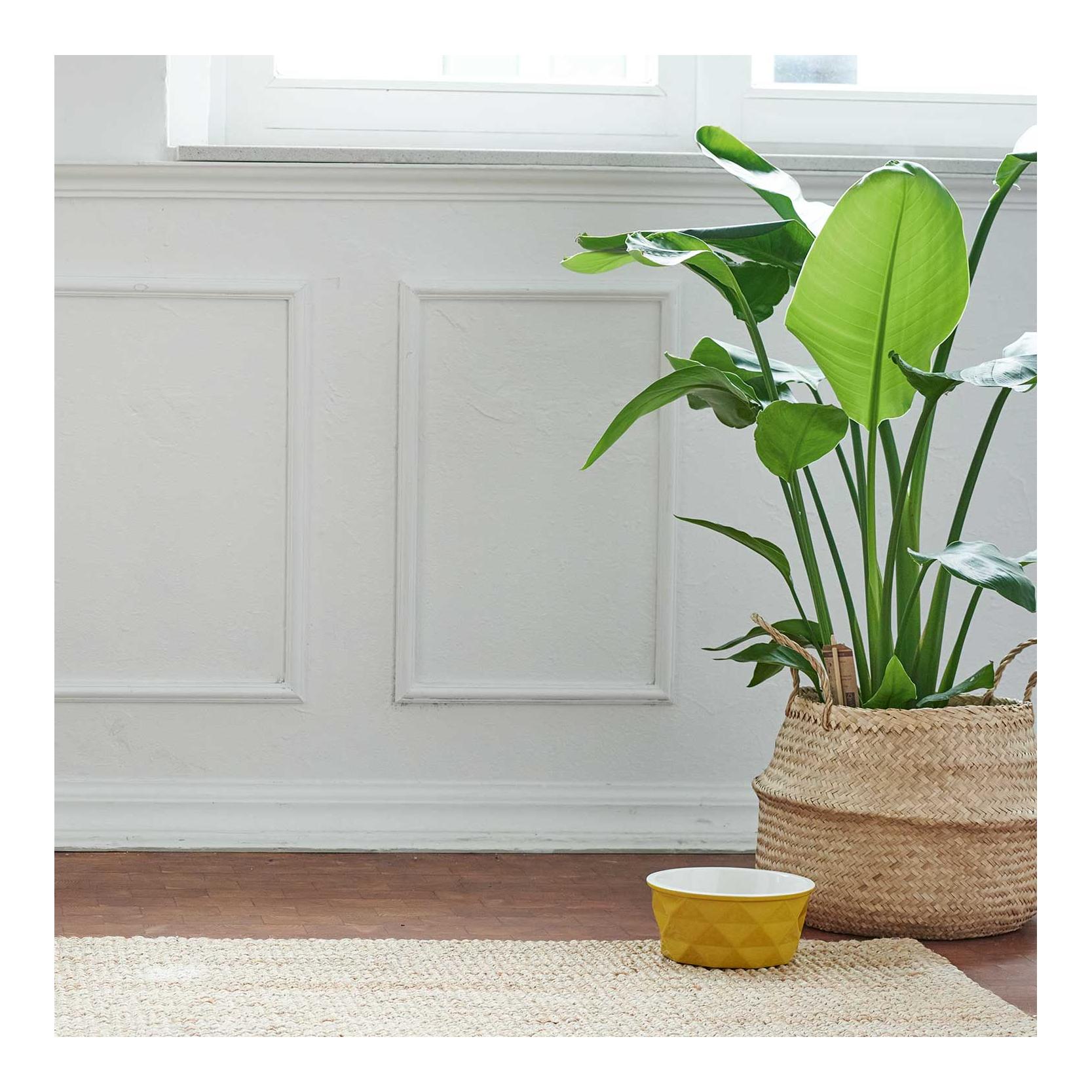 Keramik Napf Eiby - gelb