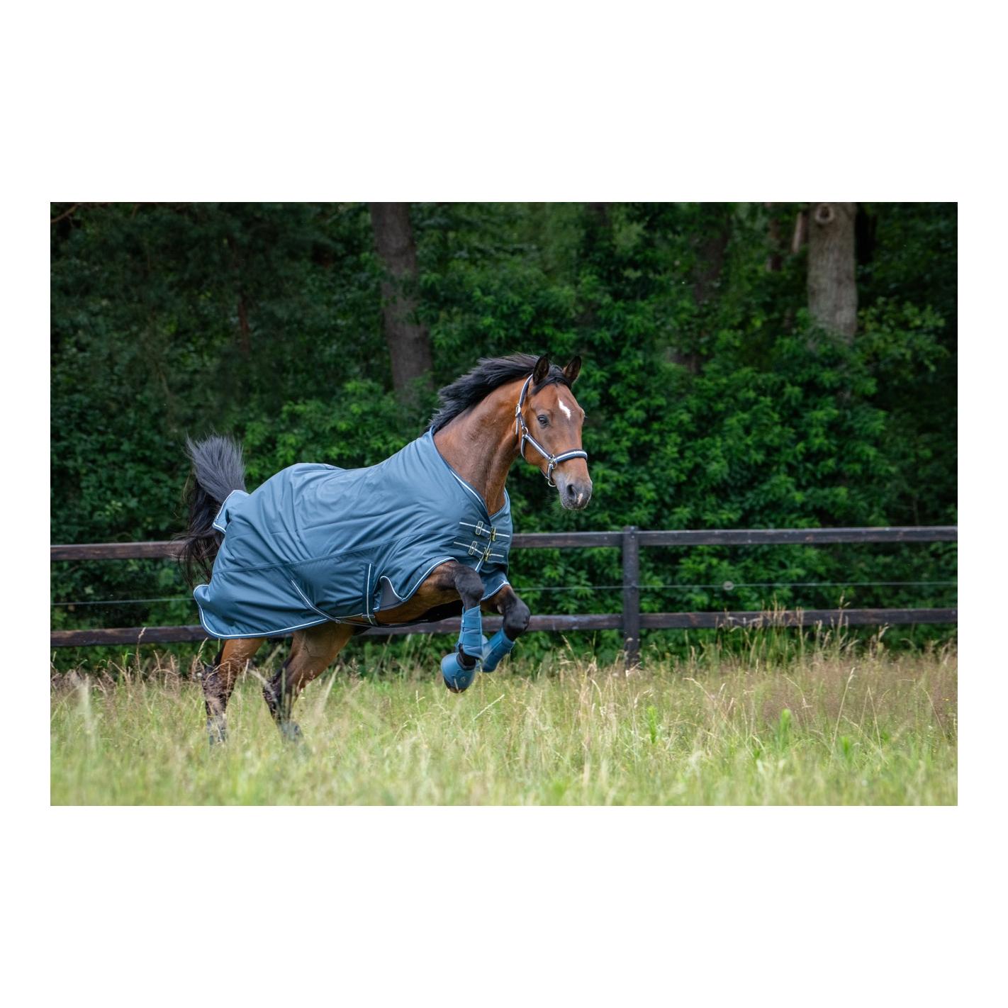 Eskadron Halfter DOUBLE PIN Classic Sports SS26