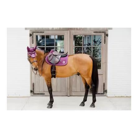 Kentucky Fliegenhaube Wellington 3D Logo rope