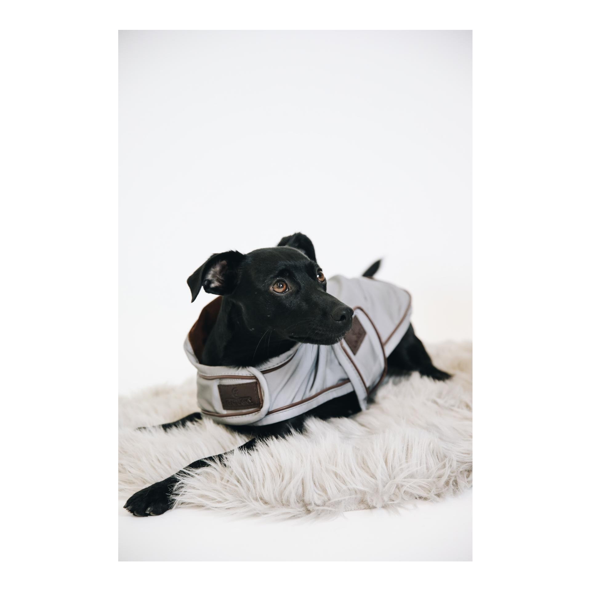 Hundemantel reflektierend & wasserabweisend Hundemantel reflektierend & wasserabweisend
