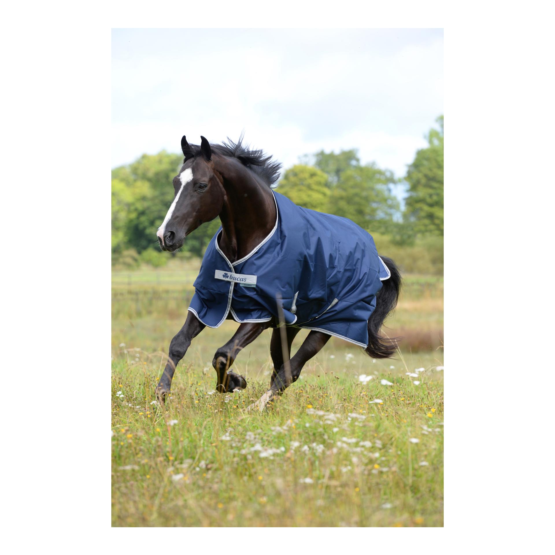 Bucas Couverture d'hiver FREEDOM Turnout 150g - bleu marine/argent