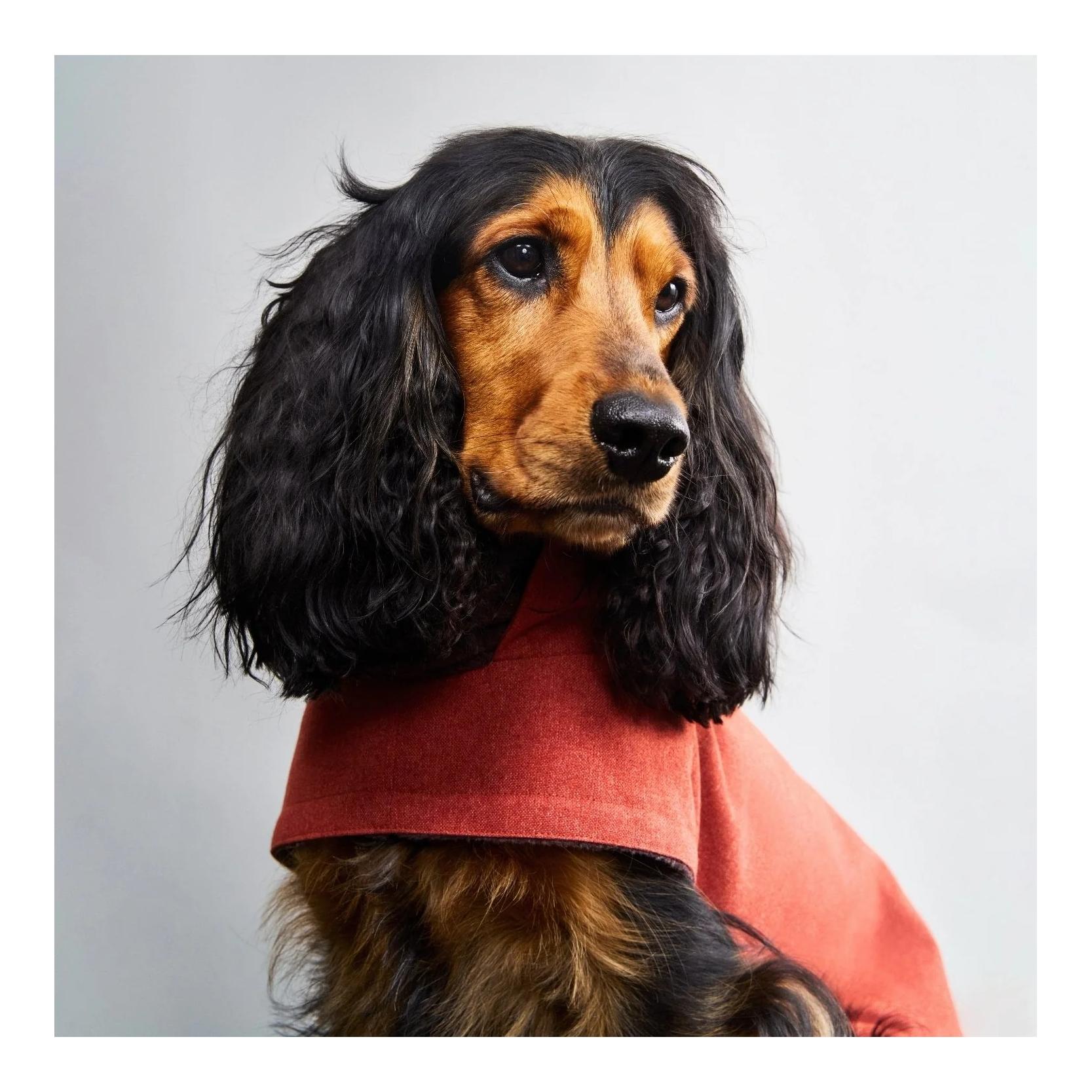 Winter Hundemantel Brooklyn Regulär