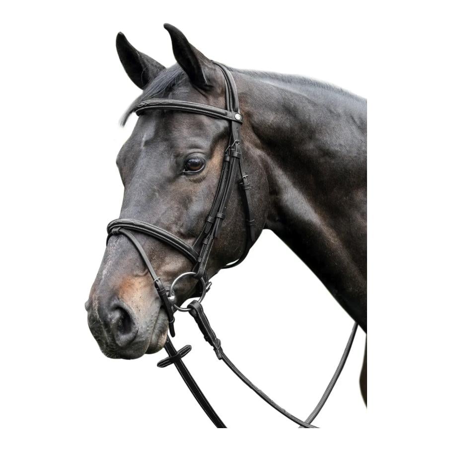 Trensenzaum Bombiert