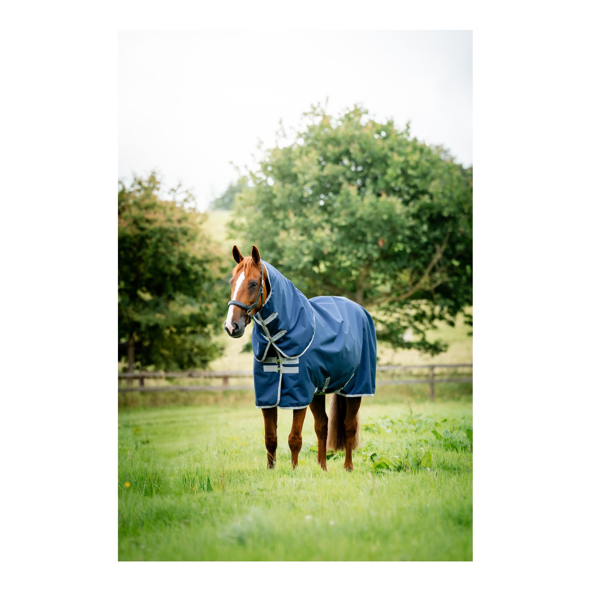 Weidedecke Amigo Ripstop 900 Plus 100g