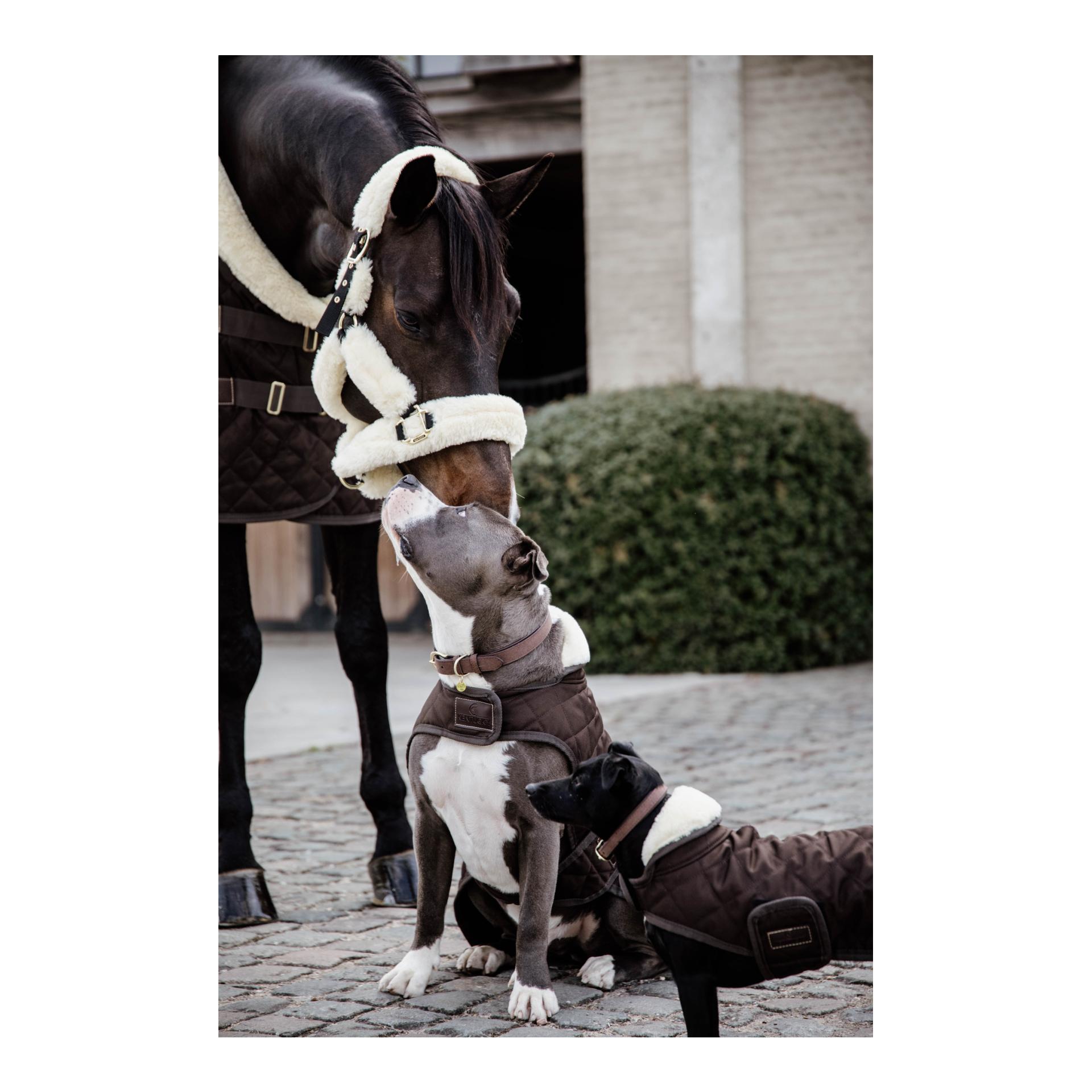 Hundemantel Original - brown Hundemantel Original - brown