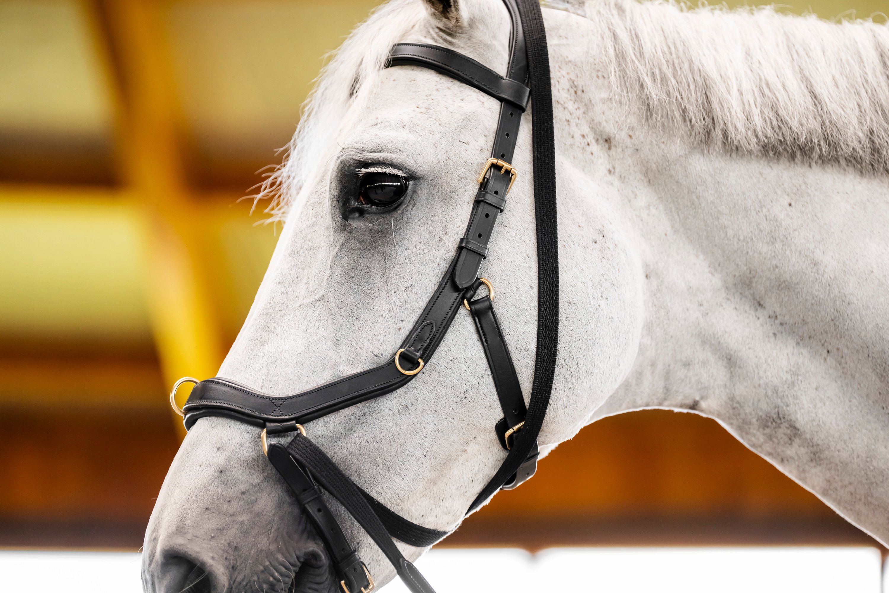 Horseware Bridon Micklem Multi