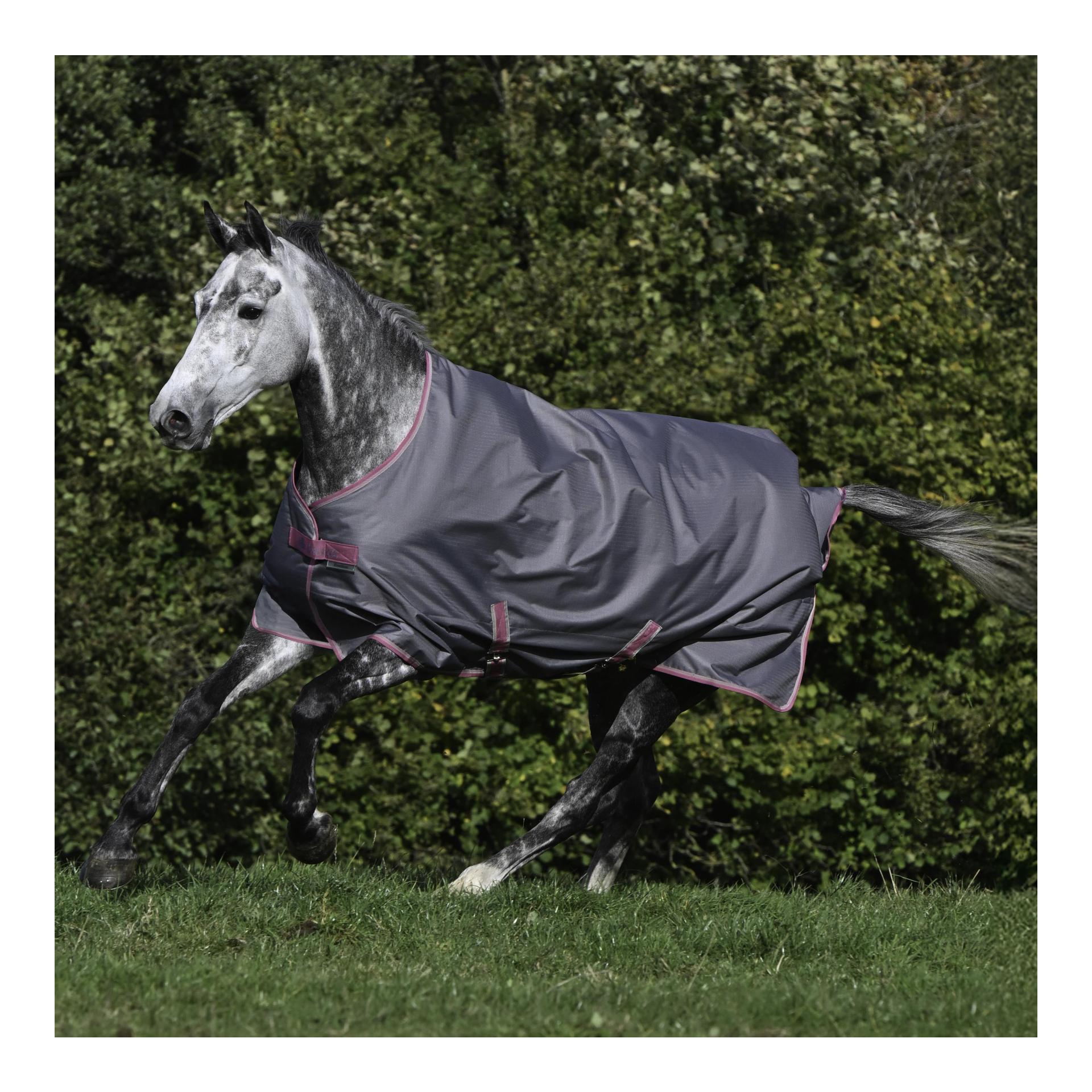 Weidedecke Freedom Turnout 300g