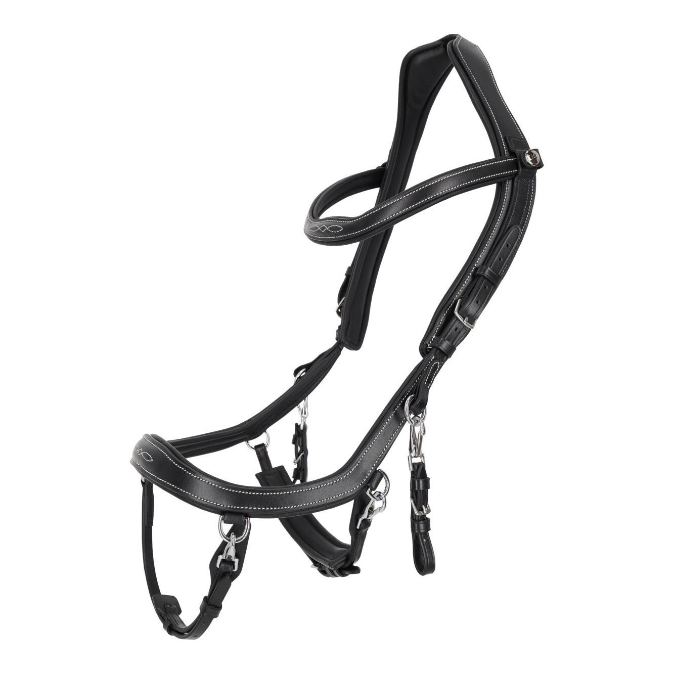 PresTeq Zaumzeug FaySport Classic 