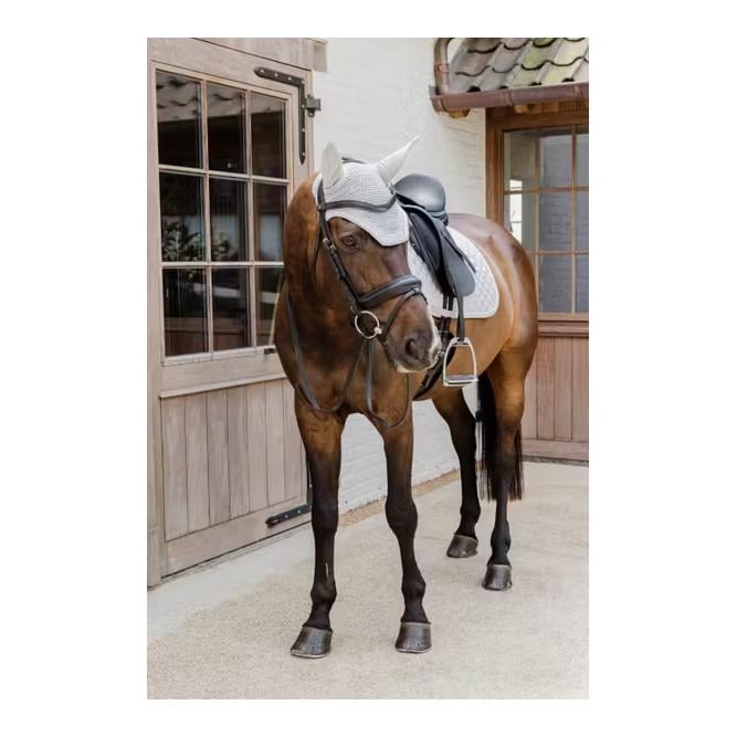 Kentucky Fliegenhaube Wellington diamond rope