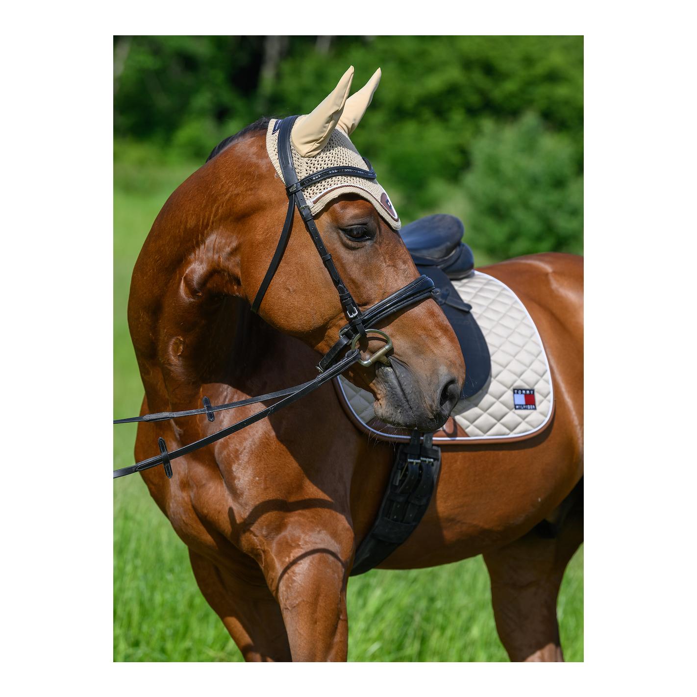 Schabracke Princeton