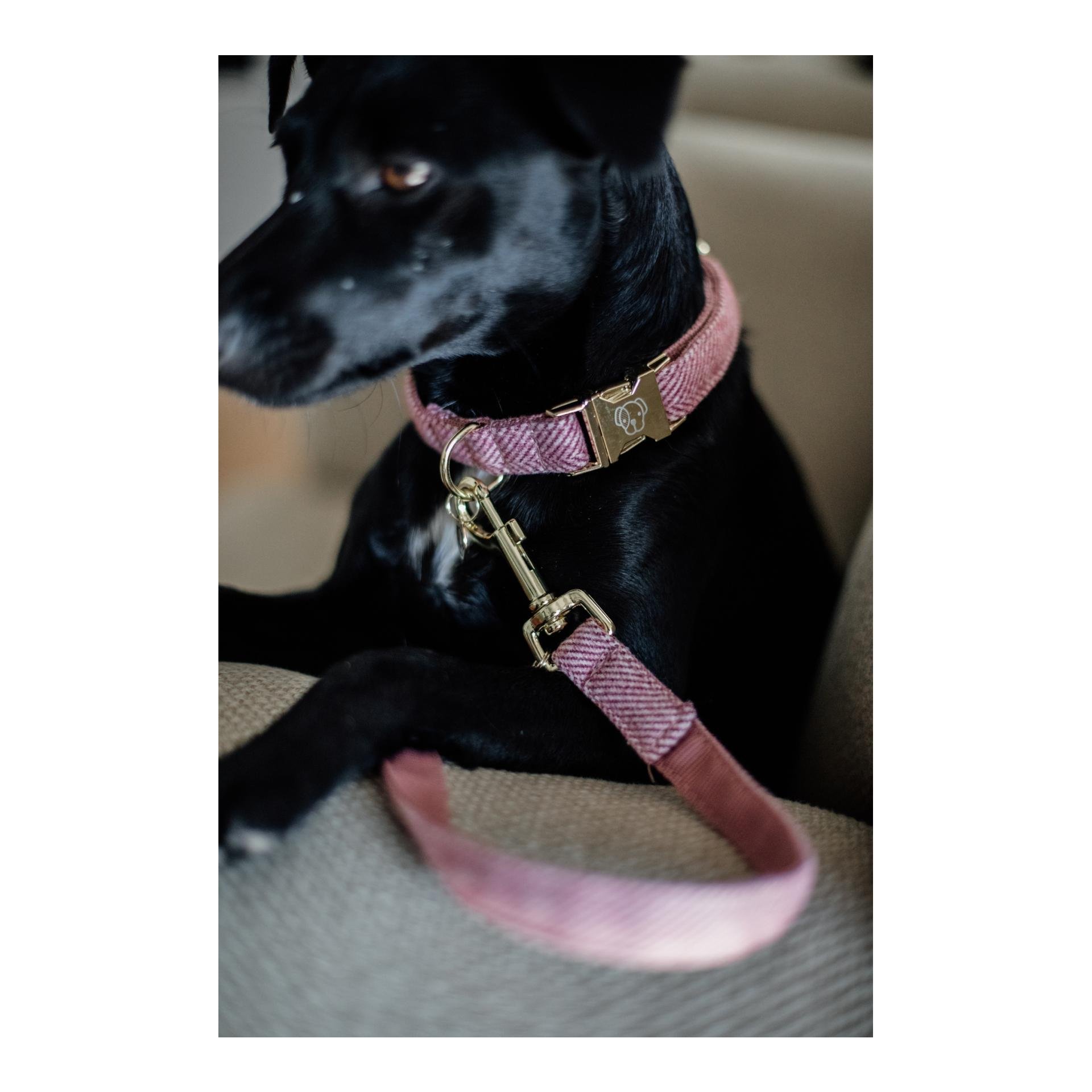Hundeleine Wool - rosa/pink Hundeleine Wool - rosa/pink