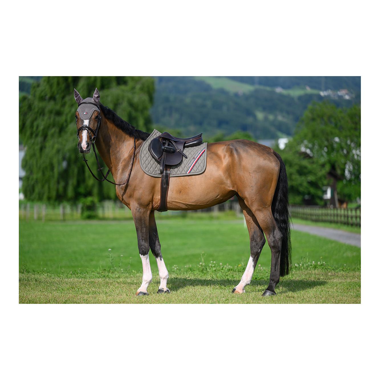 Schabracke Springen Stanford 