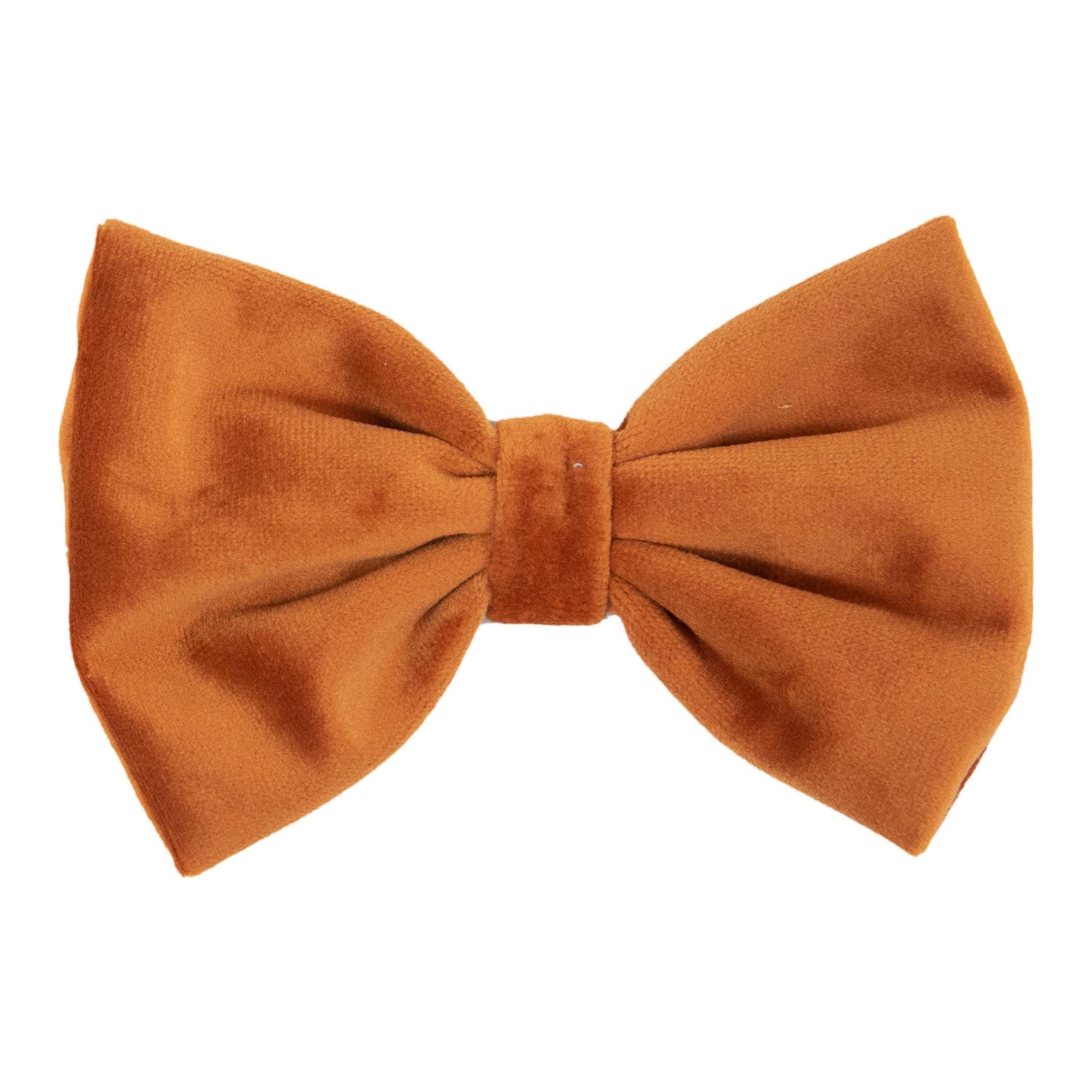 Noeud papillon velvet