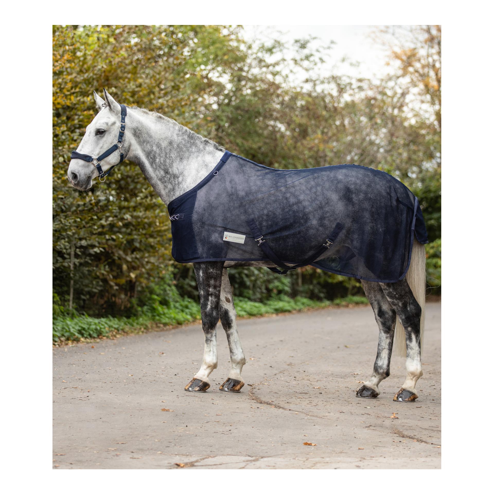 Waldhausen Fliegendecke Comfort Couleur: Bleu, Taille: 155 cm