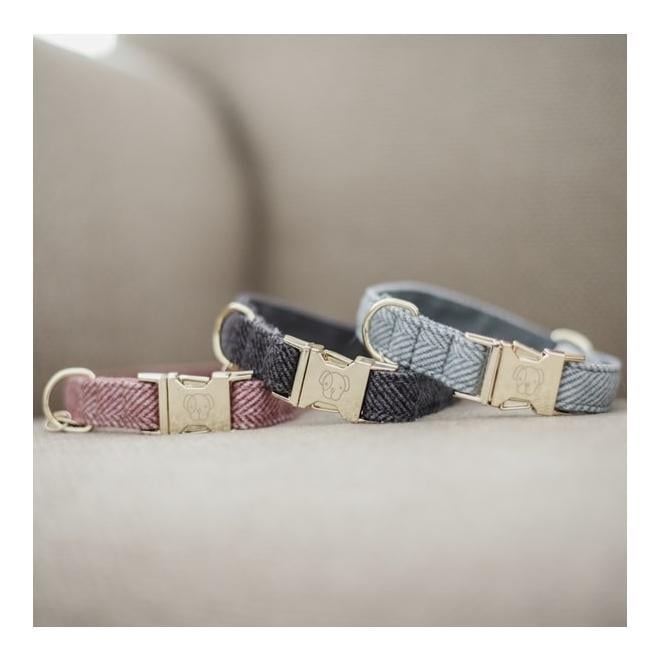 Hundehalsband Wool - grau Hundehalsband Wool - grau