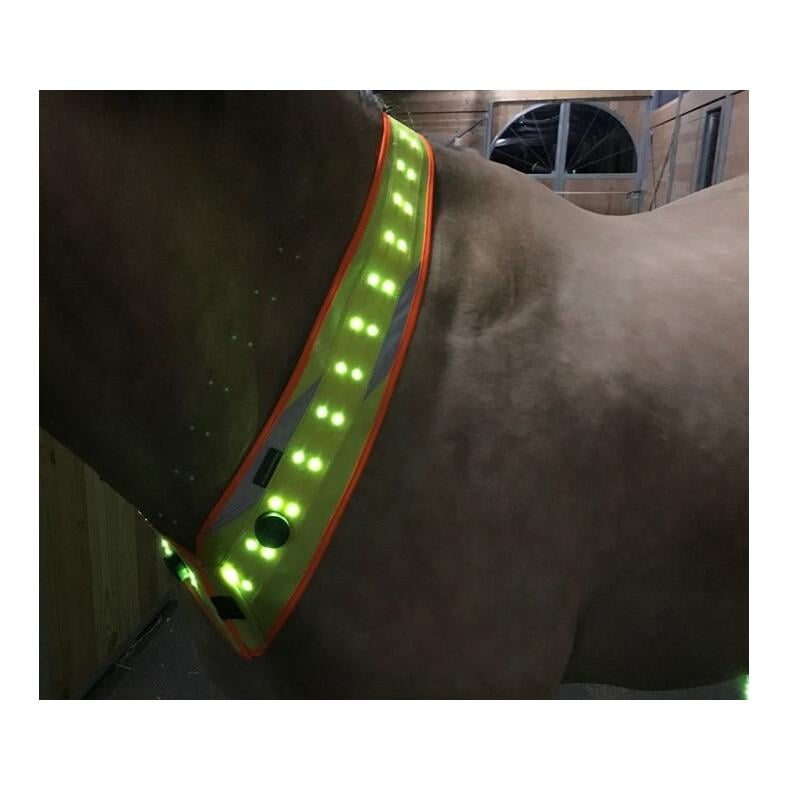 LED Leuchthalsriemen 2.0 LED Leuchthalsriemen 2.0