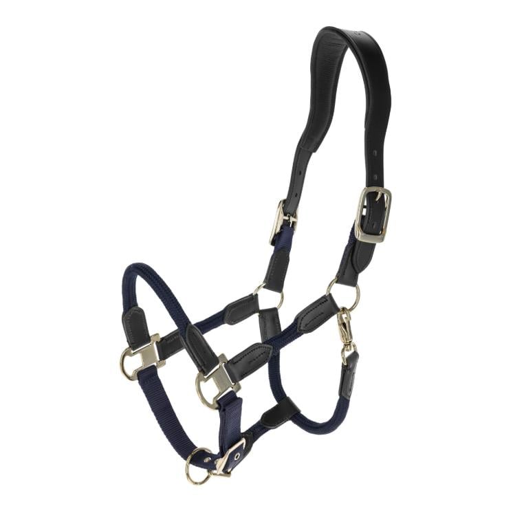 Covalliero Halfter Cordano Deluxe F/S 2026