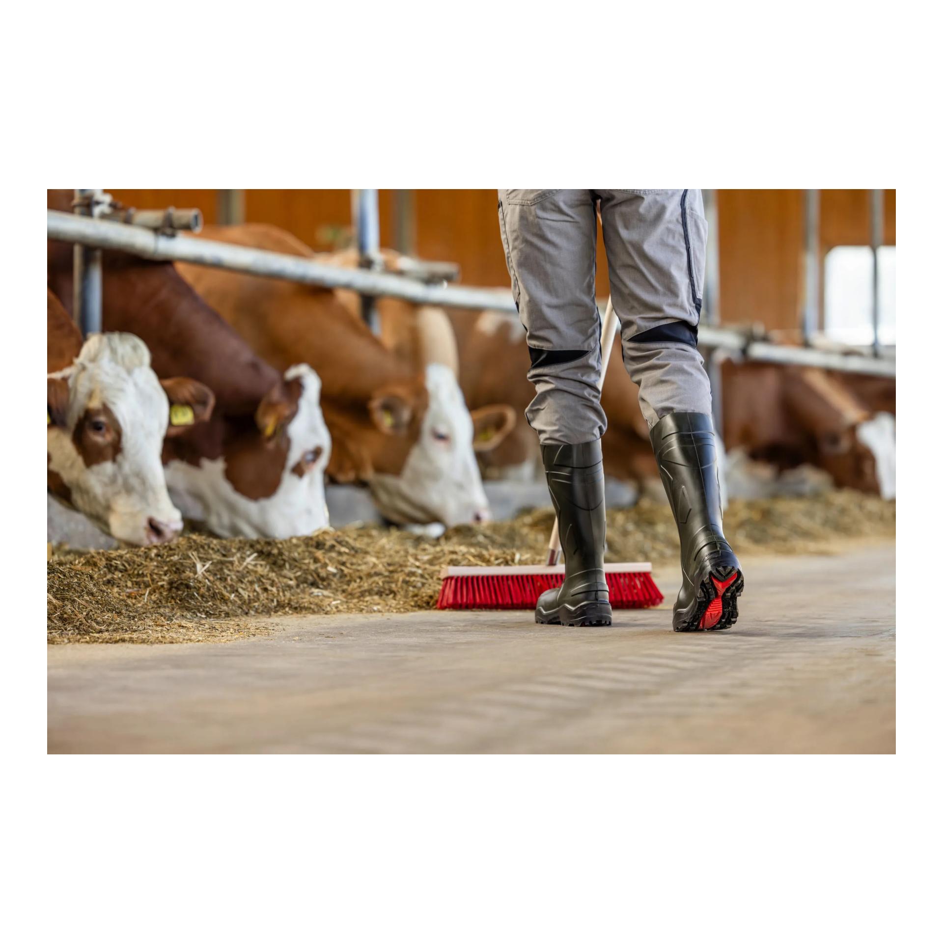 Dunlop Sicherheitsstiefel Dunlop Purofort Plus S5