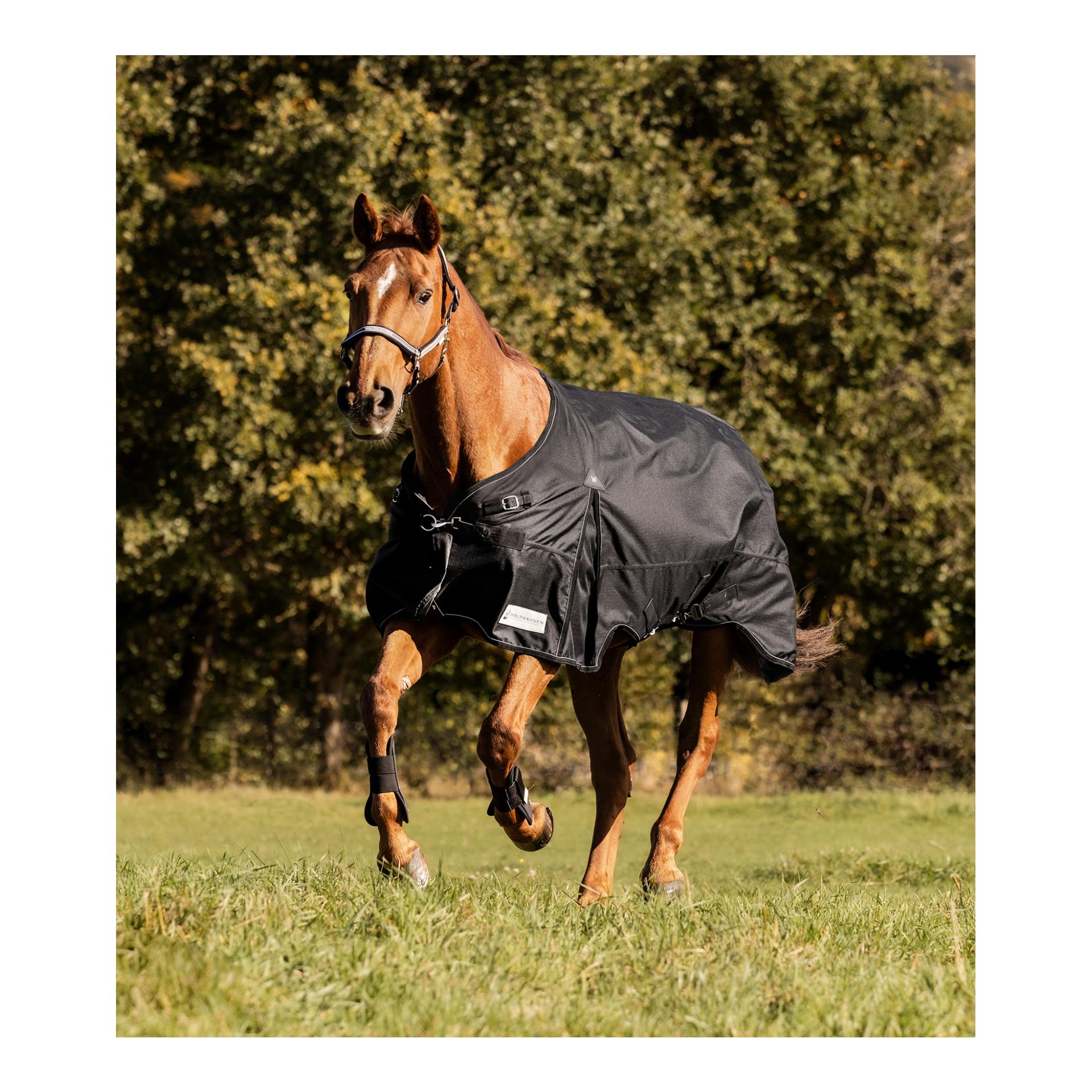 Outdoordecke Scandic, 50g