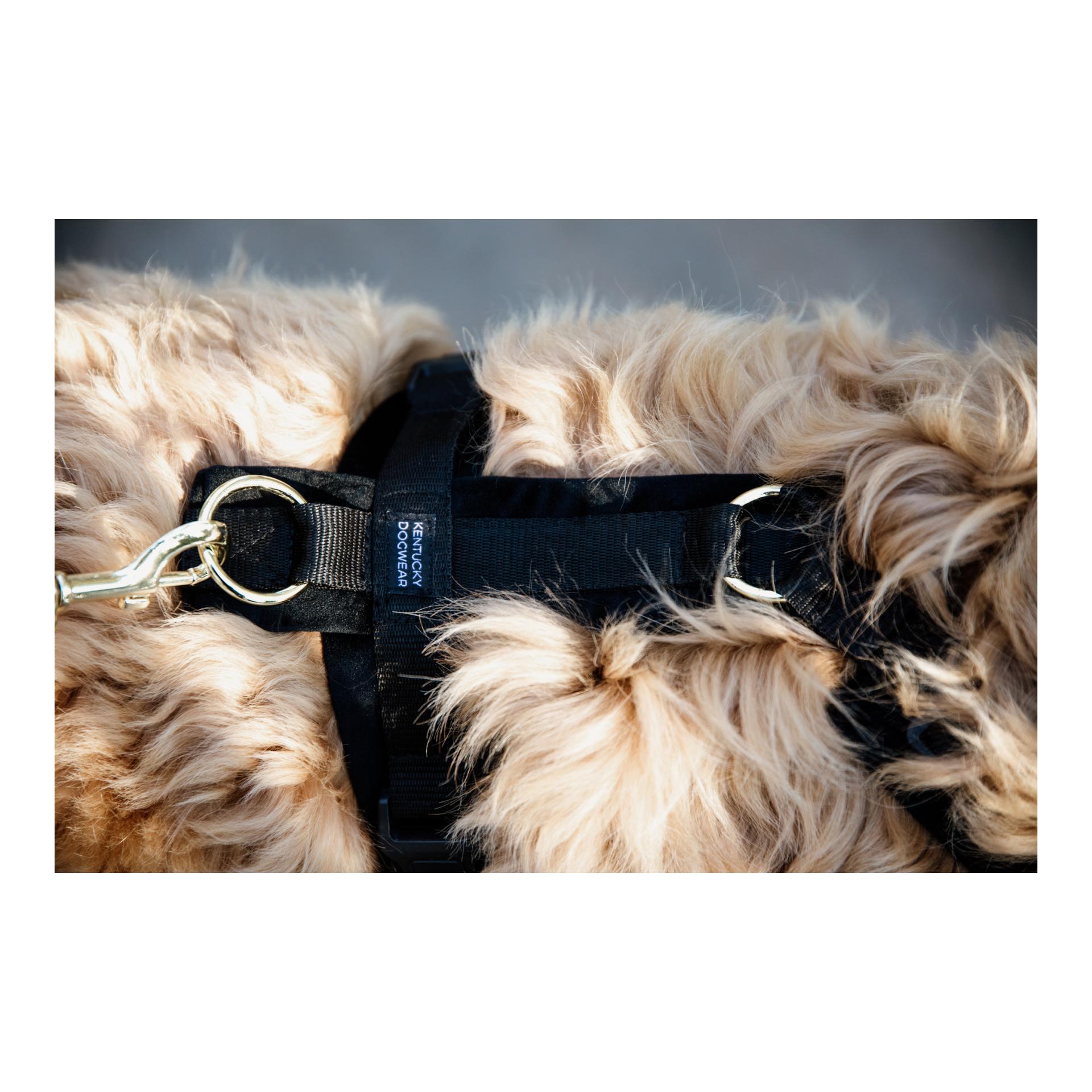 Harnais pour chien Active Velvet
